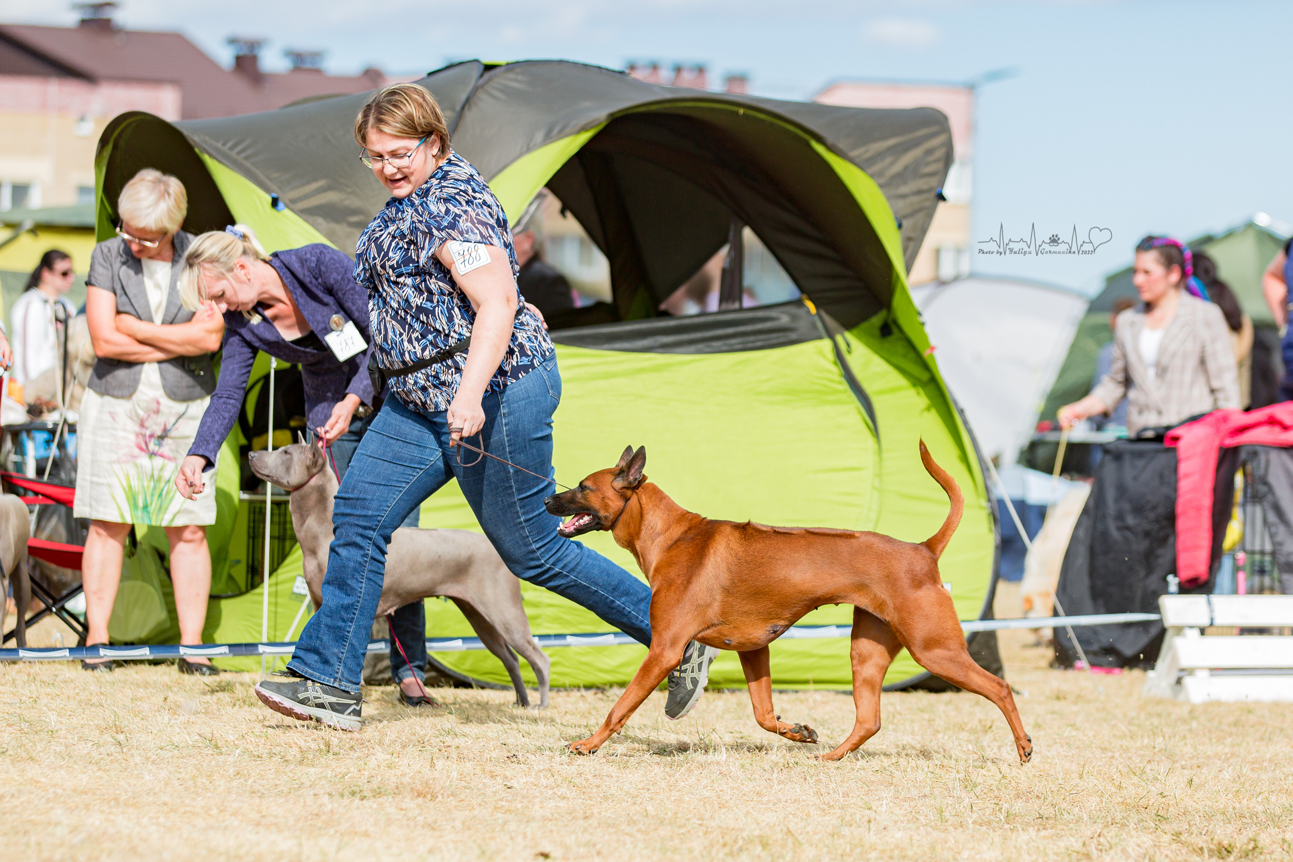 Минск 2хCACIB 3-4.09.2022. Фотограф-анималист Юлия Германика