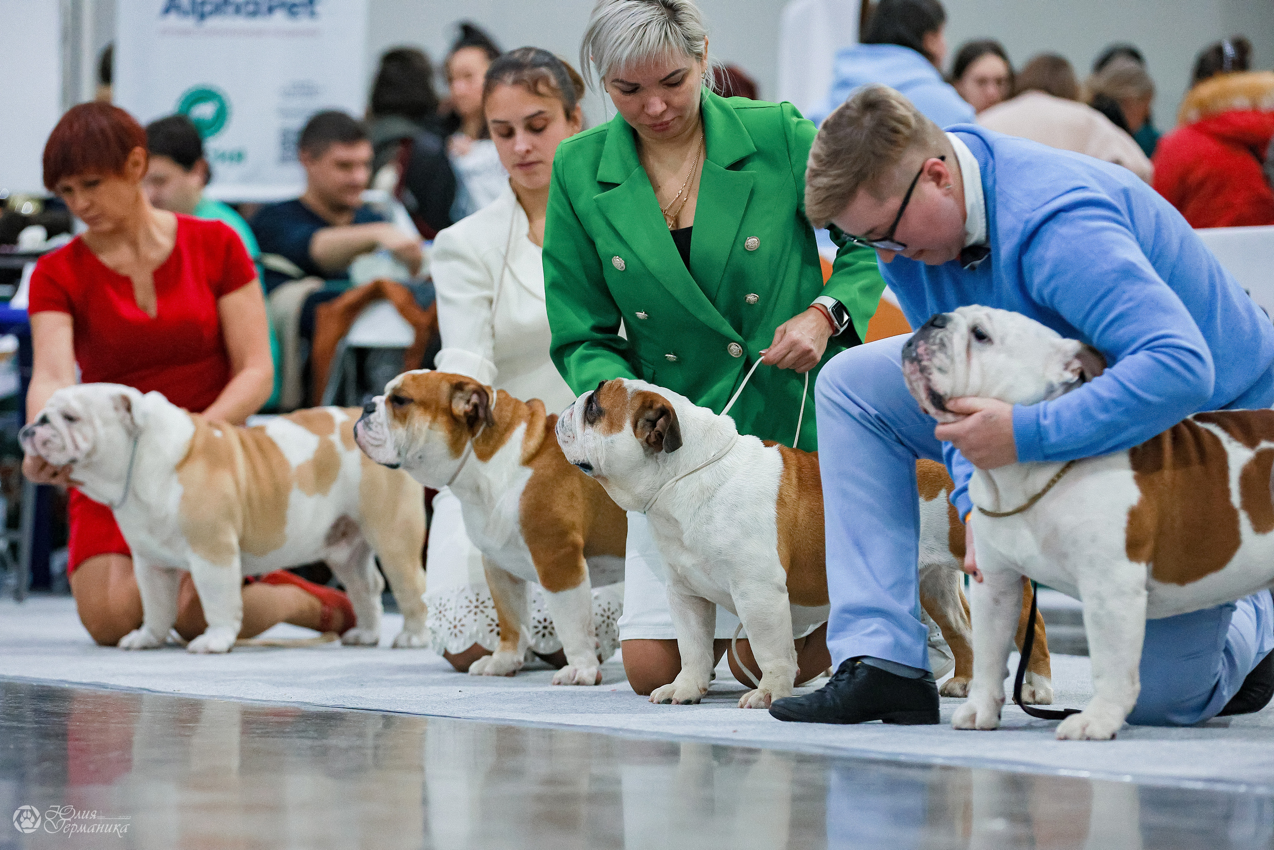 Россия 2020-2022 26-27.11.2022. Фотограф-анималист Юлия Германика