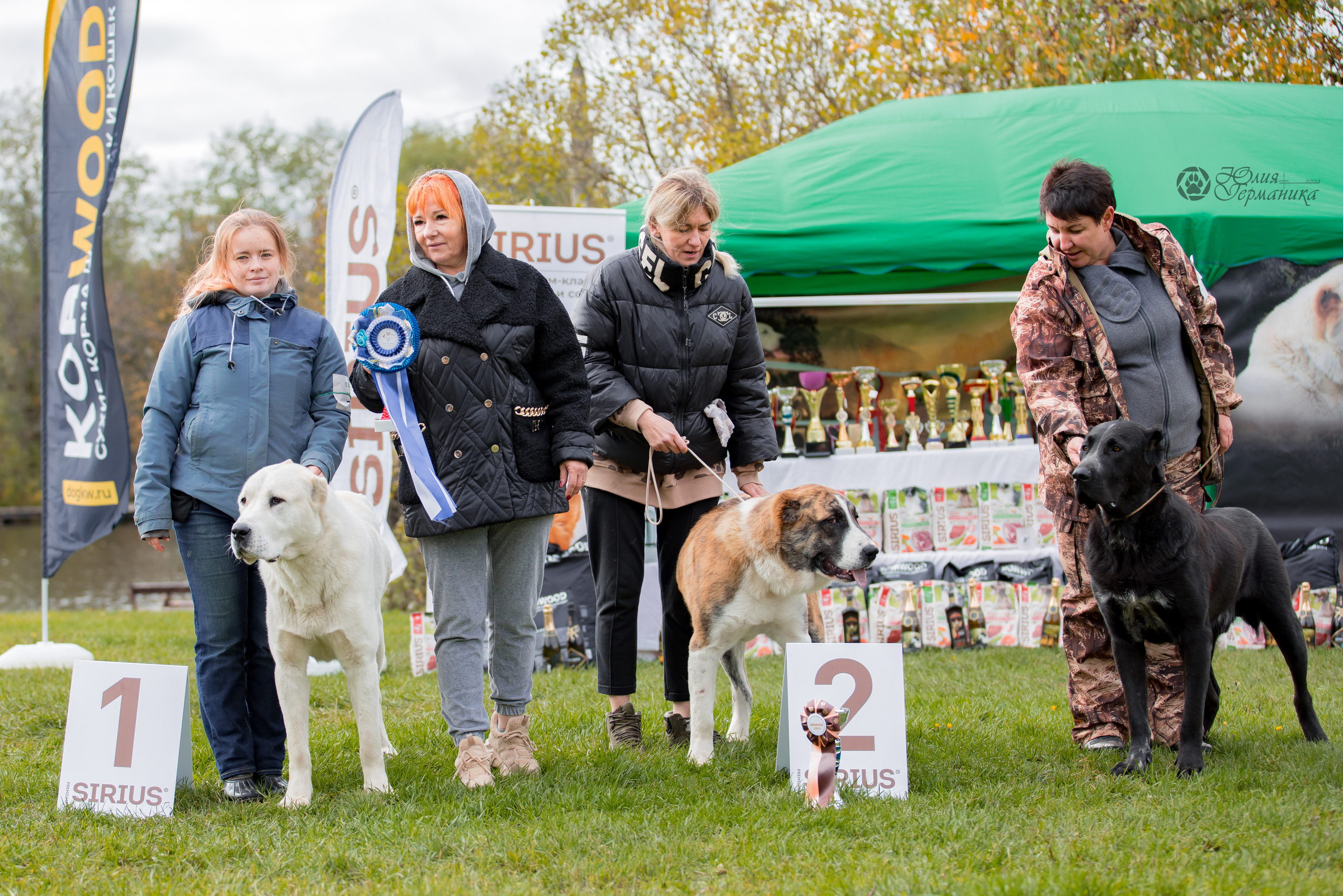 Александрова Слобода моно сао 2.10.2022. Фотограф-анималист Юлия Германика