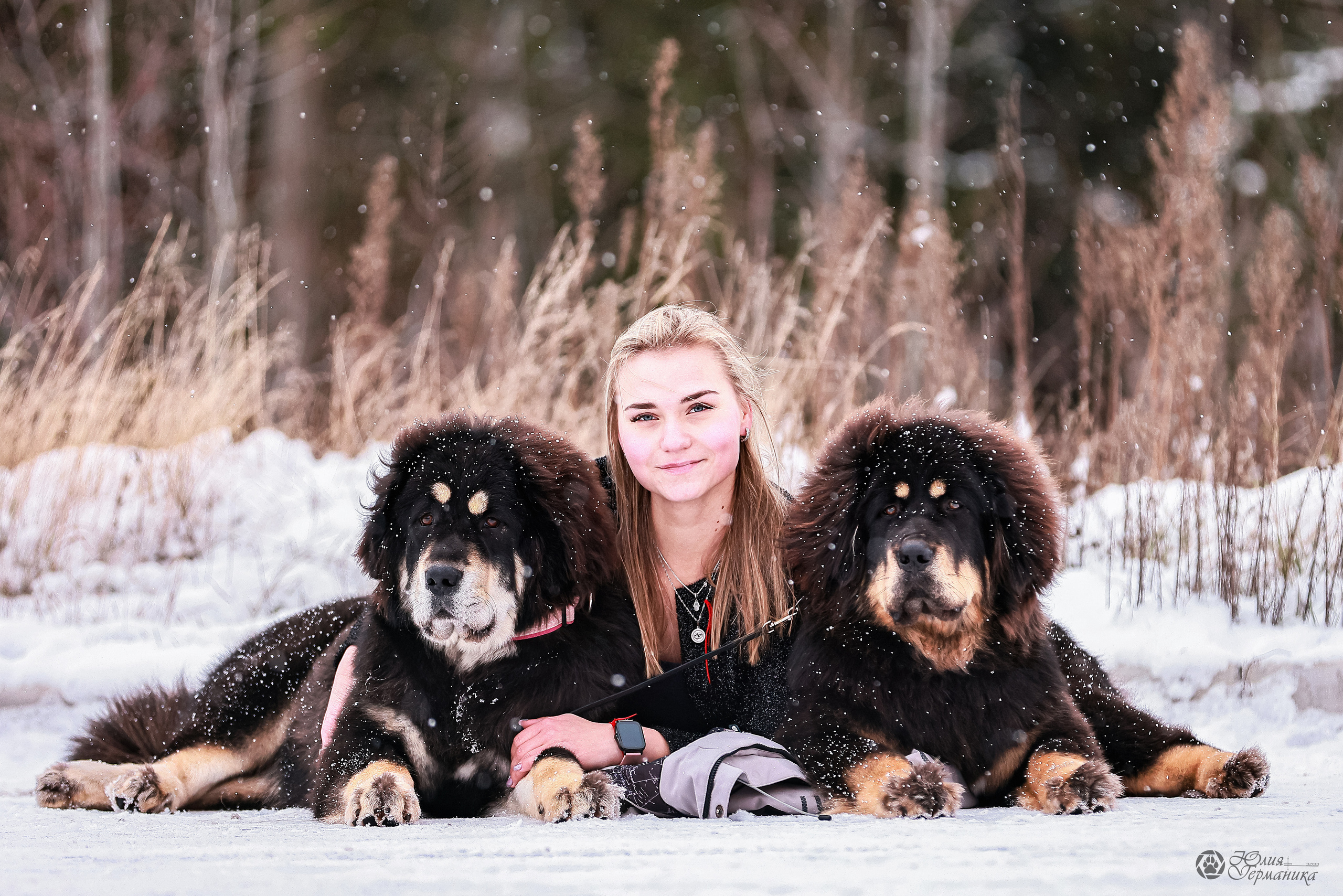 Минск 19-20.11.2022. Фотограф-анималист Юлия Германика