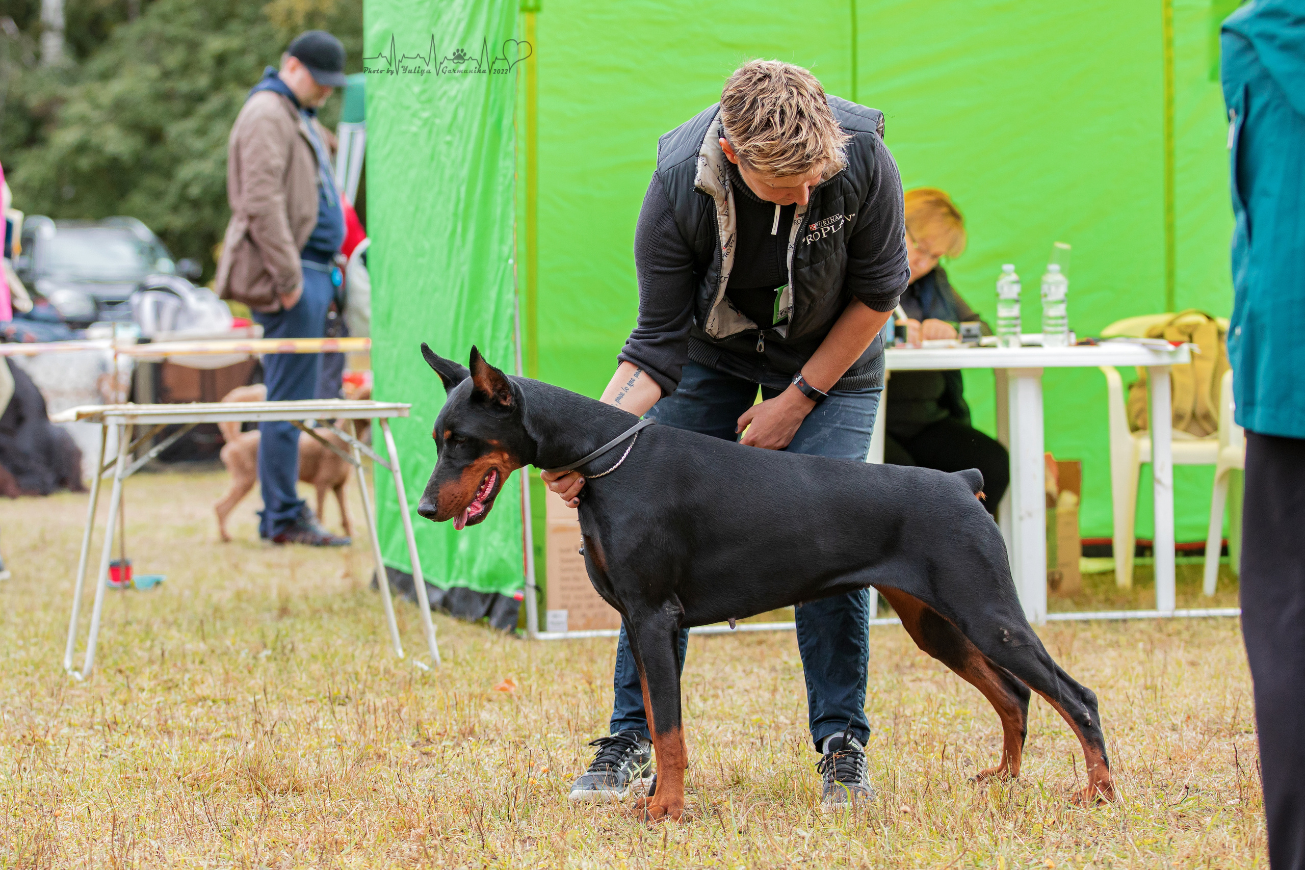 Пушкино ЧРКФ 17.09.2022. Фотограф-анималист Юлия Германика