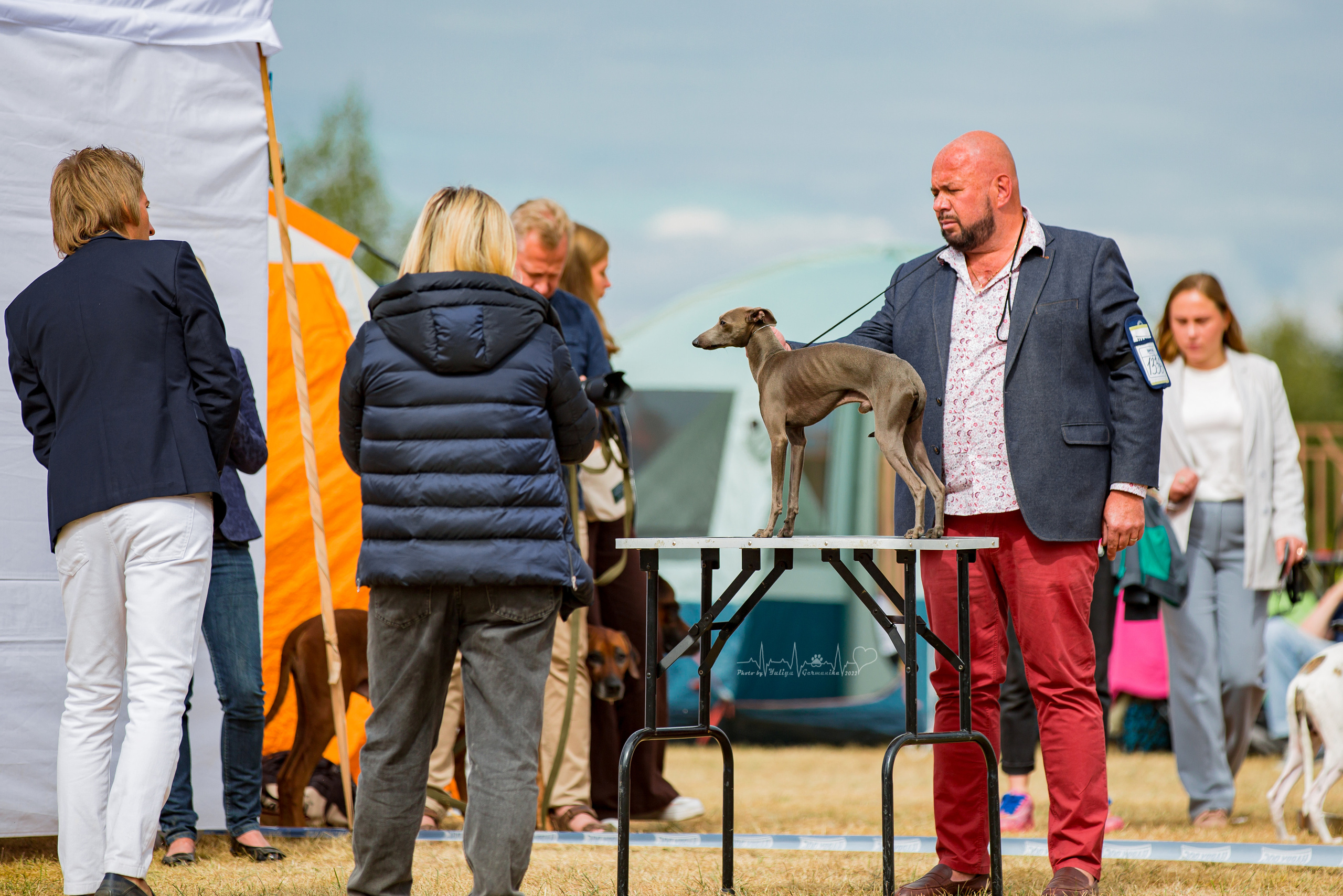 Минск 2хCACIB 3-4.09.2022. Фотограф-анималист Юлия Германика