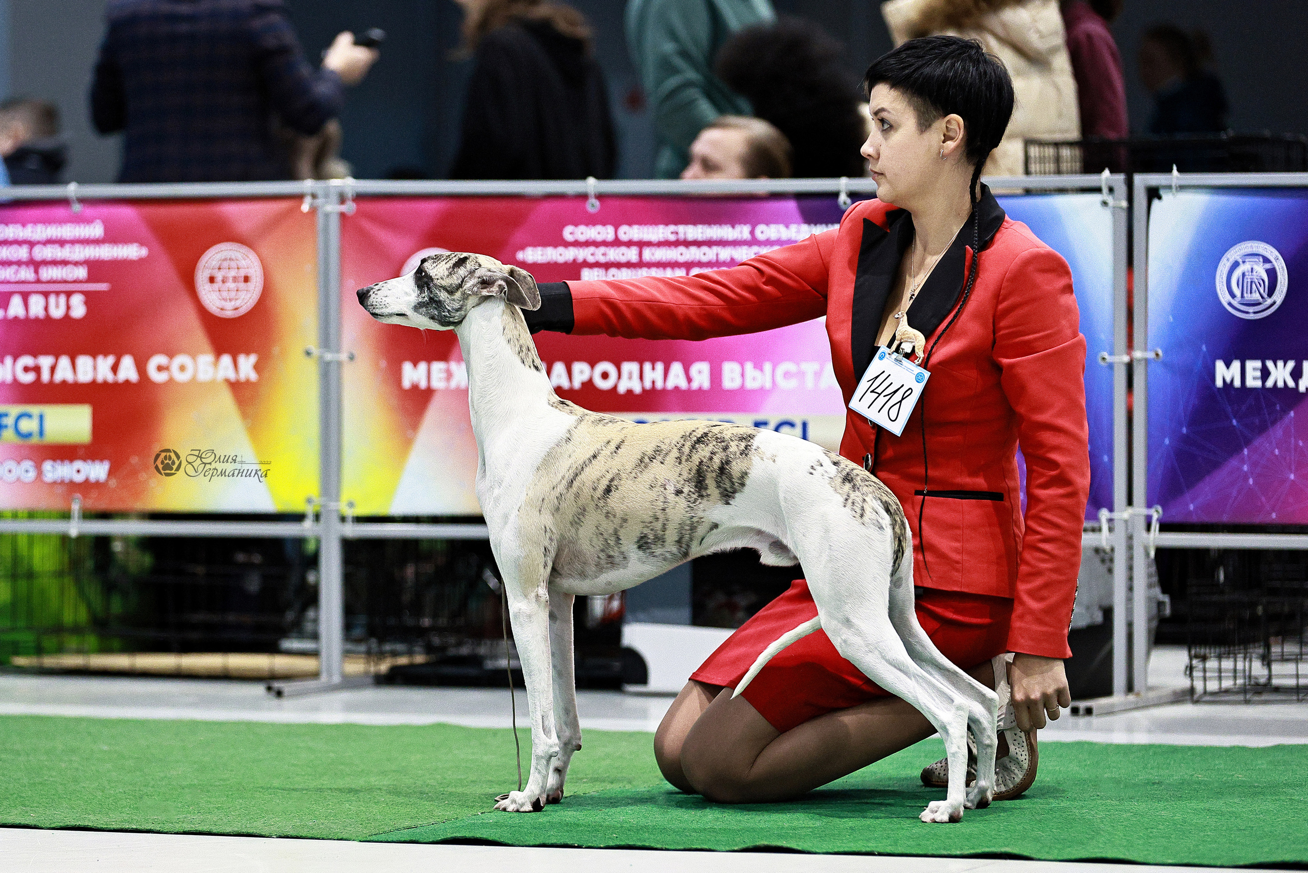 Минск 19-20.11.2022. Фотограф-анималист Юлия Германика