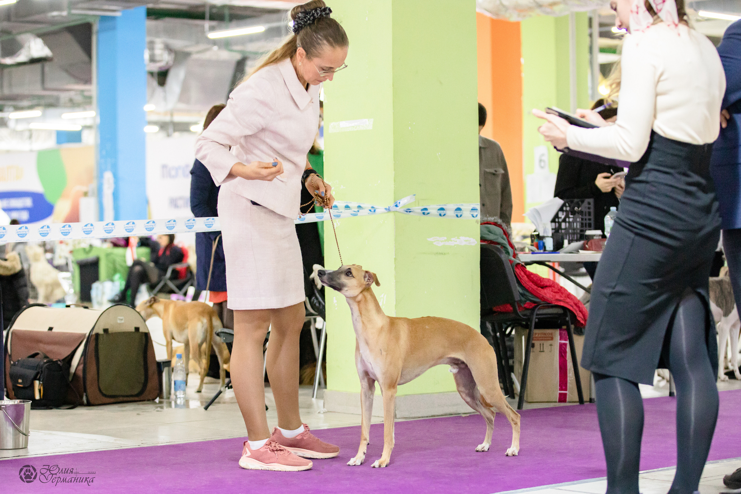 Чайна-Таун 29-30.10.2022. Фотограф-анималист Юлия Германика