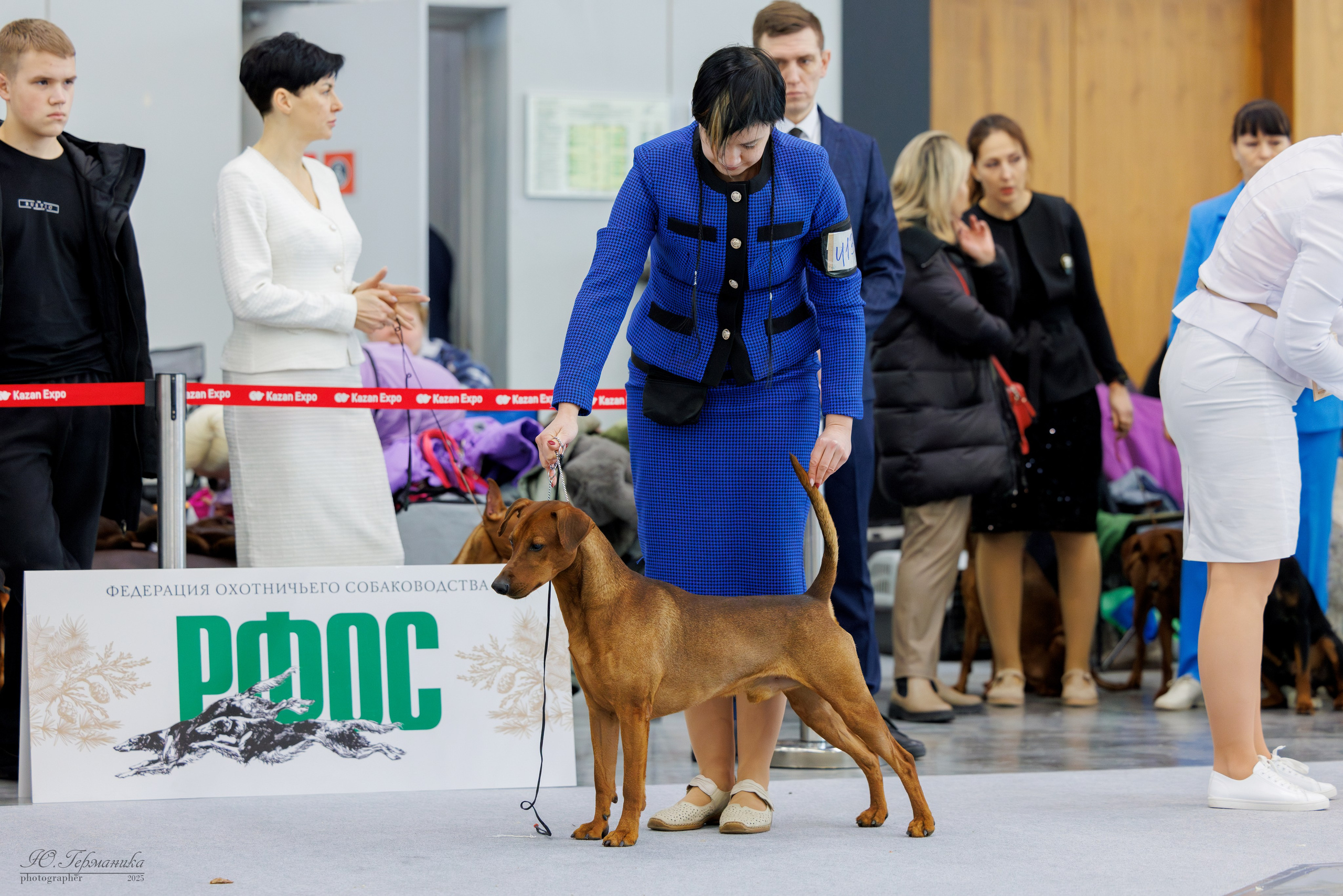 Сабанеевка Казань 25-26.01.2025. Фотограф-анималист Юлия Германика