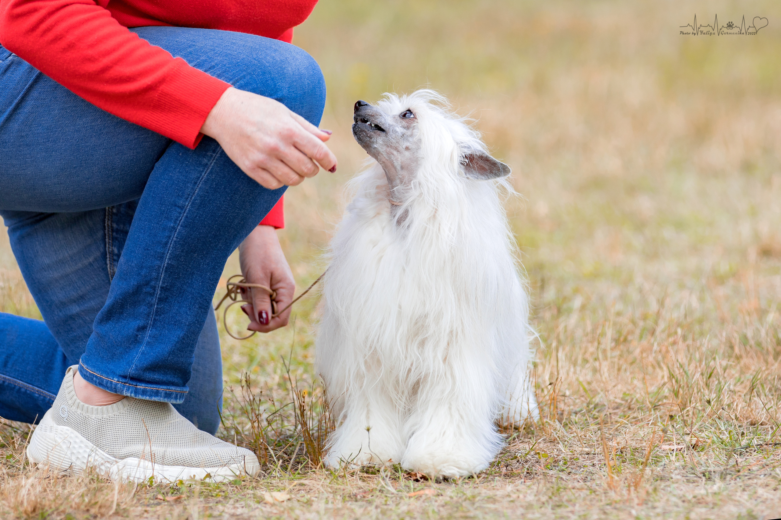 Пушкино ЧРКФ 17.09.2022. Фотограф-анималист Юлия Германика