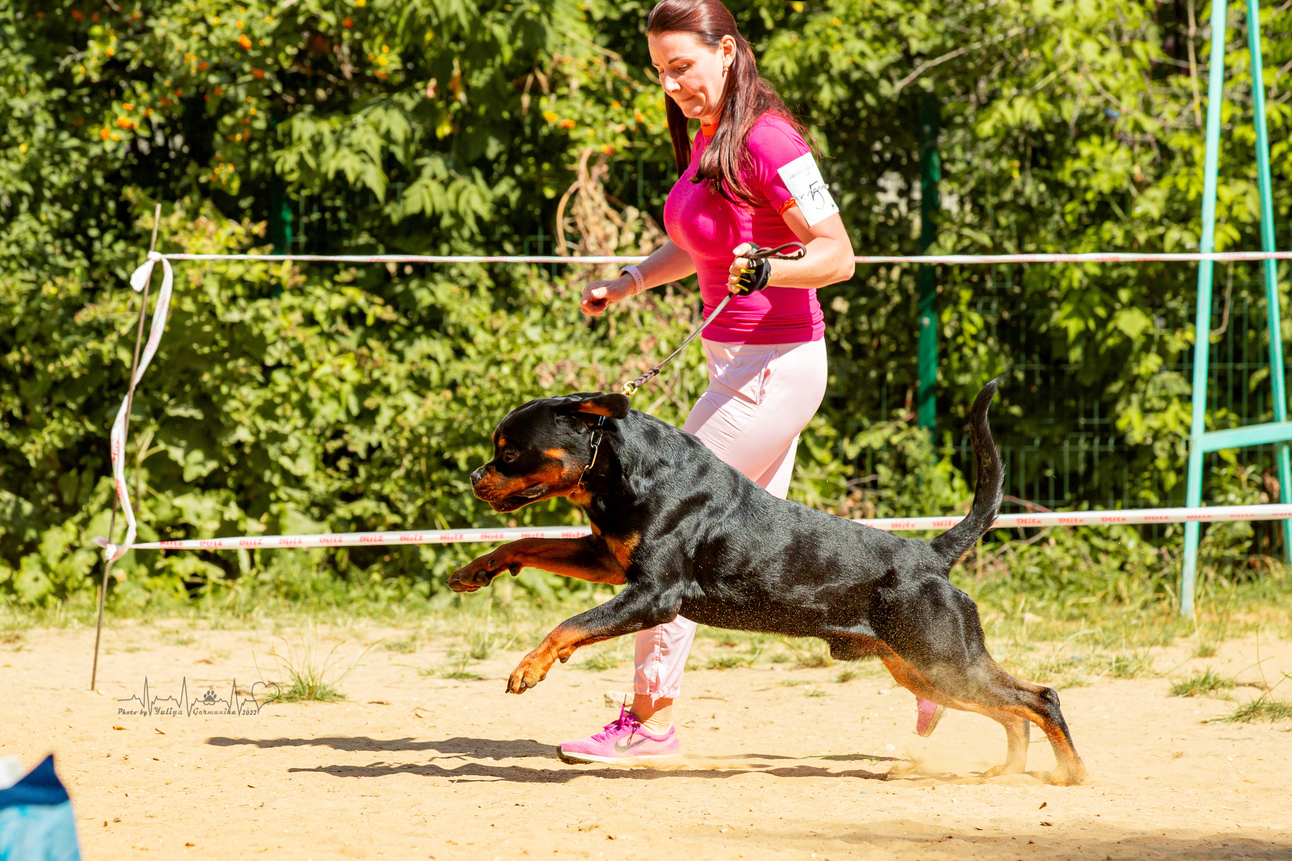 Ховрино фестиваль монопородок 14.08.2022. Фотограф-анималист Юлия Германика