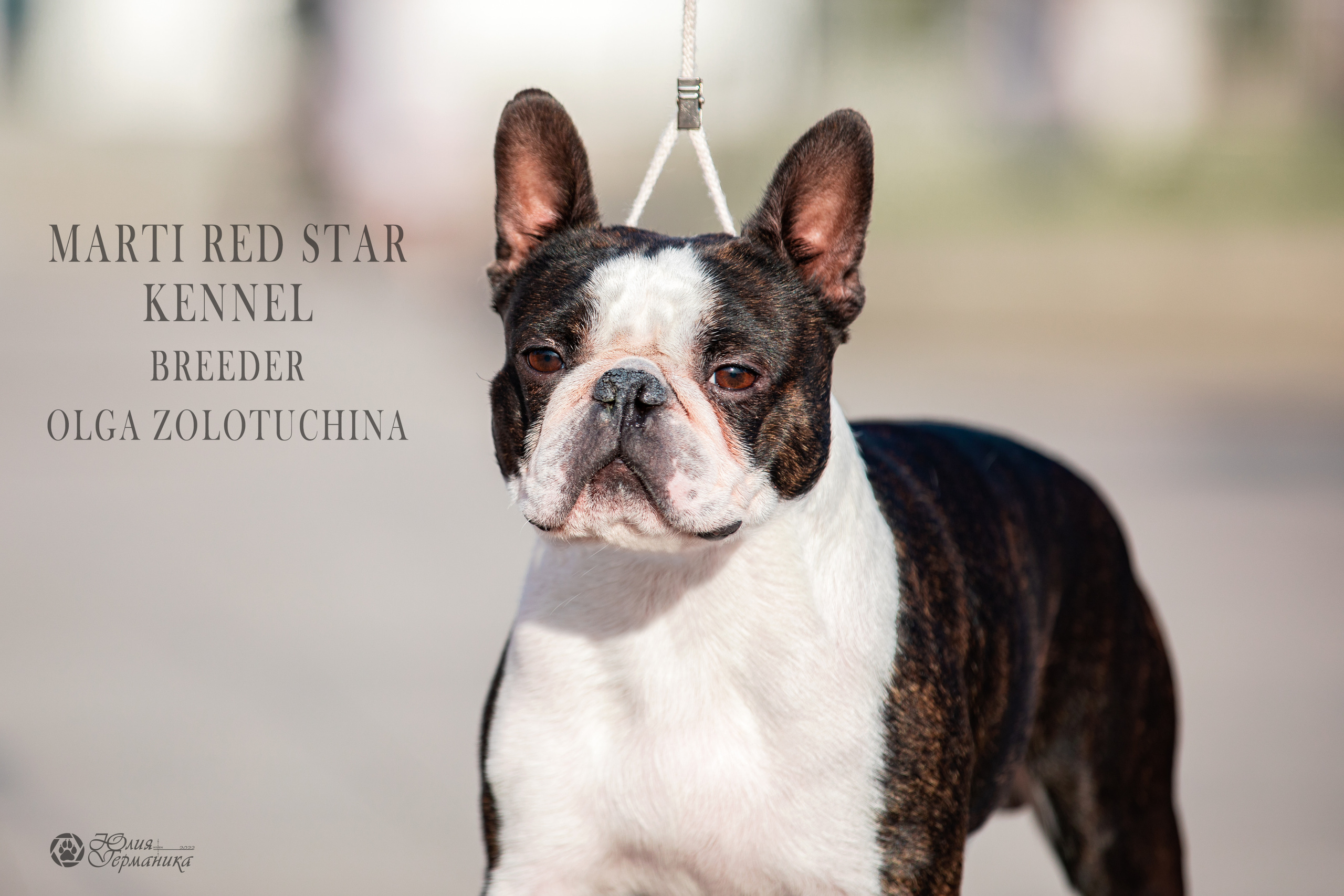 Нижний Новгород 15-16.10.2022. Фотограф-анималист Юлия Германика