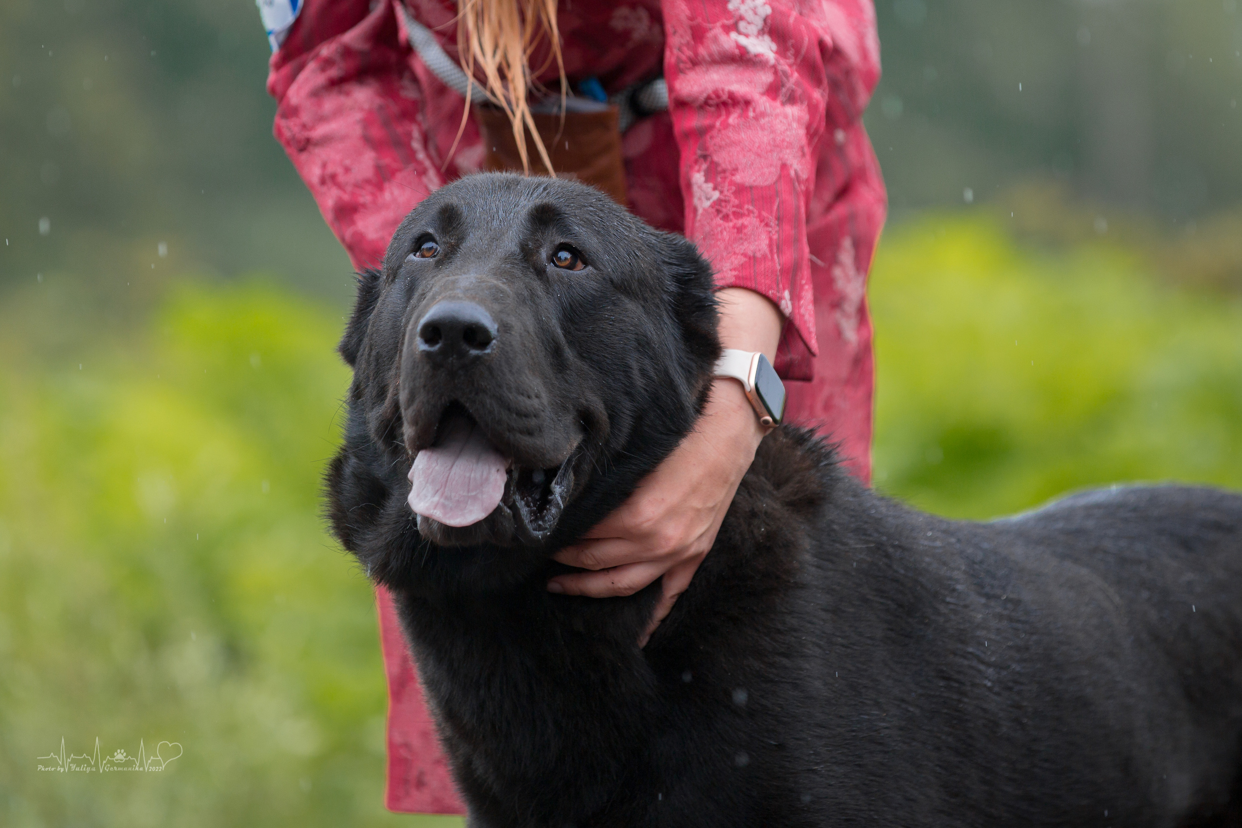 Ховрино 31.07,Чайна-Таун 6.08,Тверь 7.08. Фотограф-анималист Юлия Германика