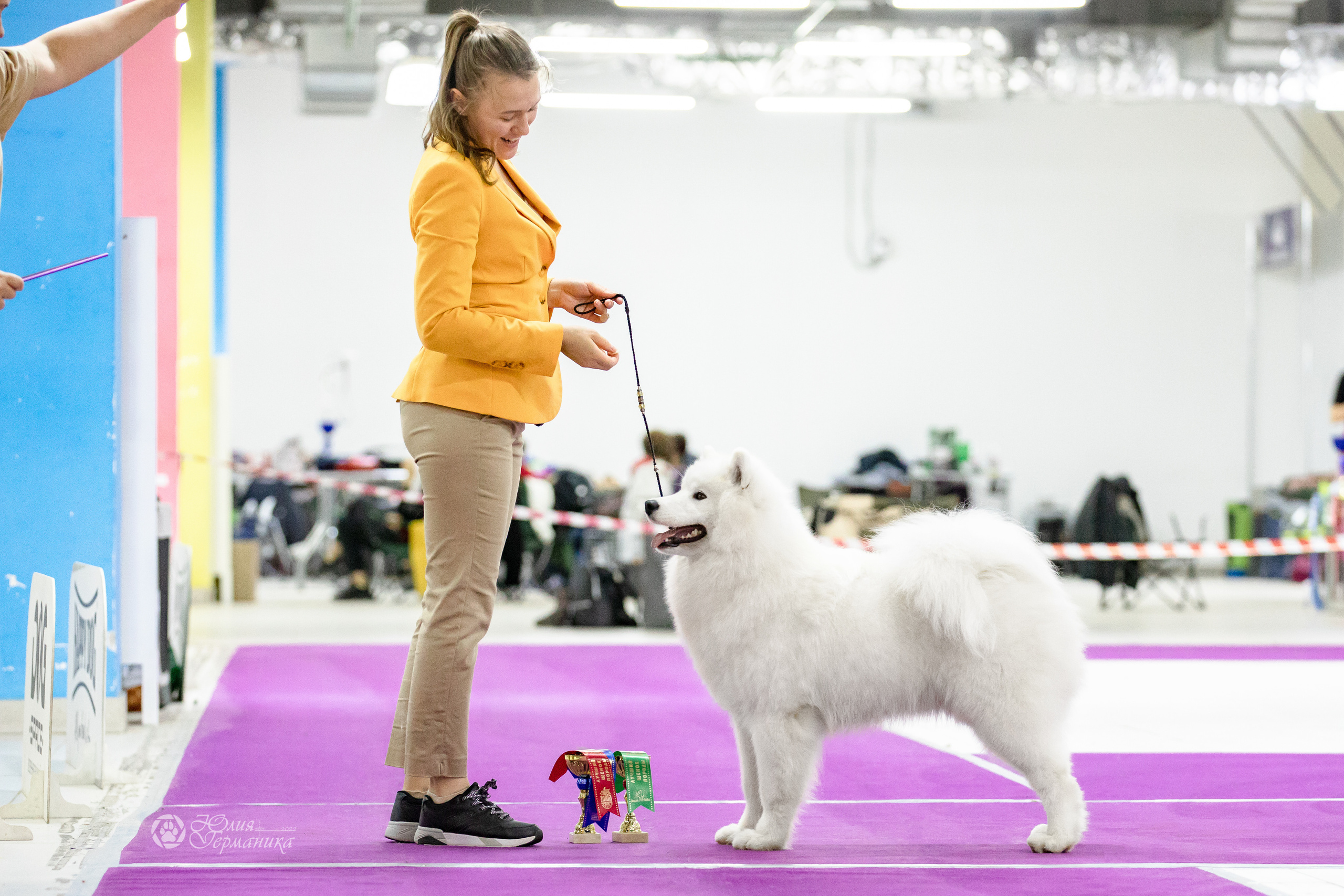 Чайна-Таун 29-30.10.2022. Фотограф-анималист Юлия Германика