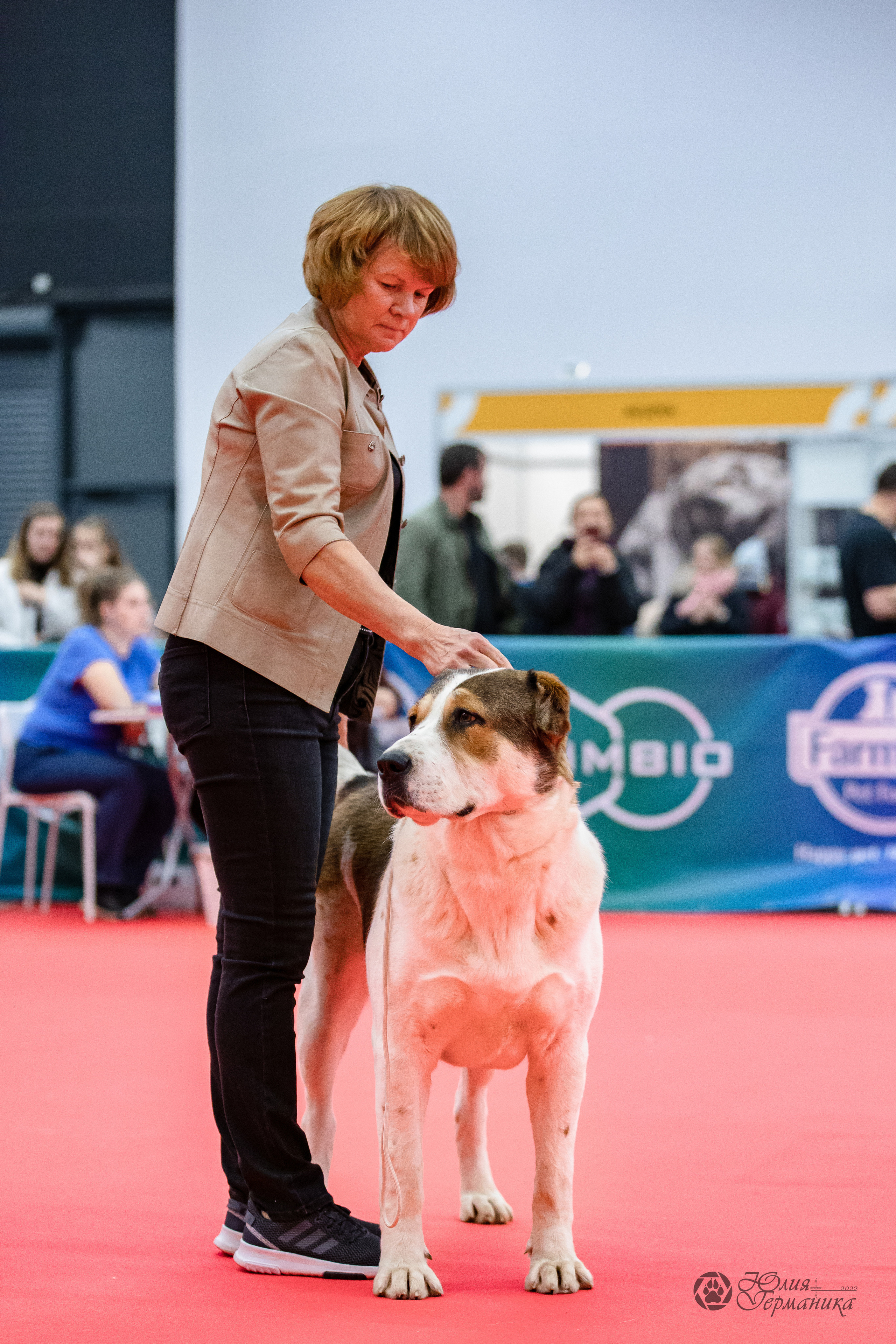 Нижний Новгород 15-16.10.2022. Фотограф-анималист Юлия Германика