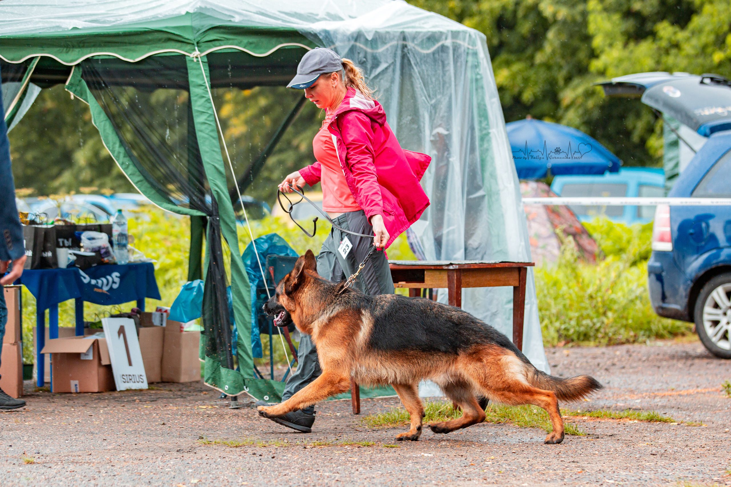 Ховрино 31.07,Чайна-Таун 6.08,Тверь 7.08. Фотограф-анималист Юлия Германика