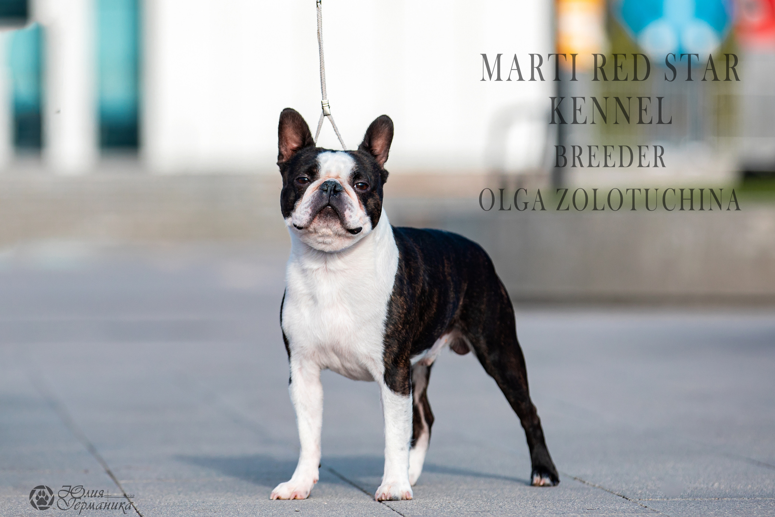 Нижний Новгород 15-16.10.2022. Фотограф-анималист Юлия Германика