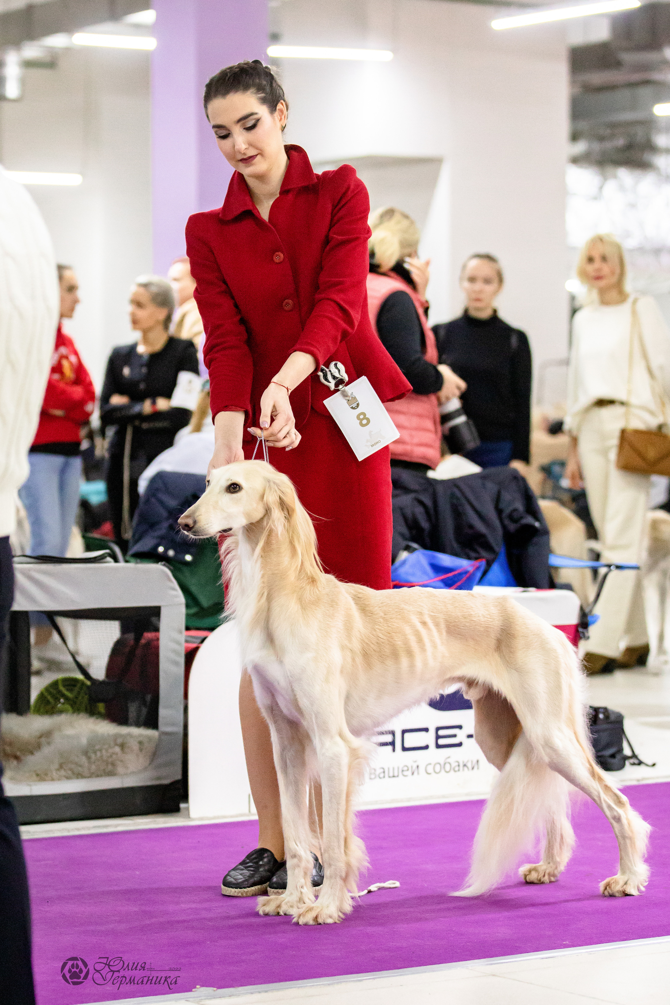 Чайна-Таун 29-30.10.2022. Фотограф-анималист Юлия Германика