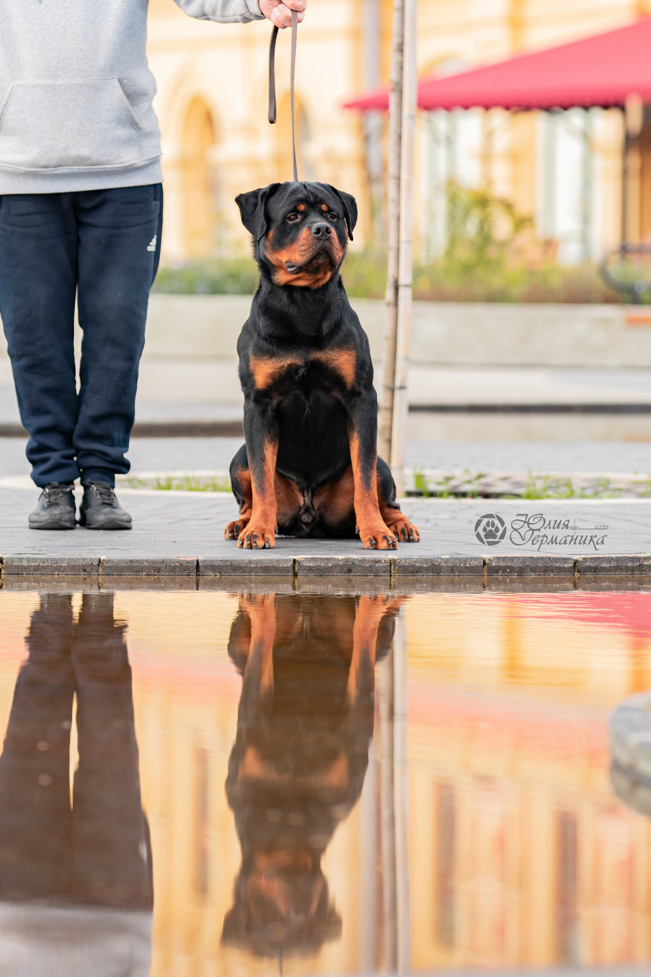 Нижний Новгород 15-16.10.2022. Фотограф-анималист Юлия Германика