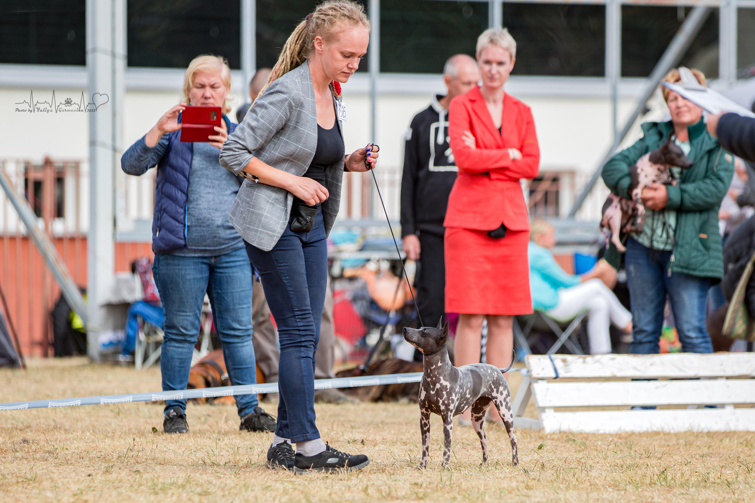 Минск 2хCACIB 3-4.09.2022. Фотограф-анималист Юлия Германика