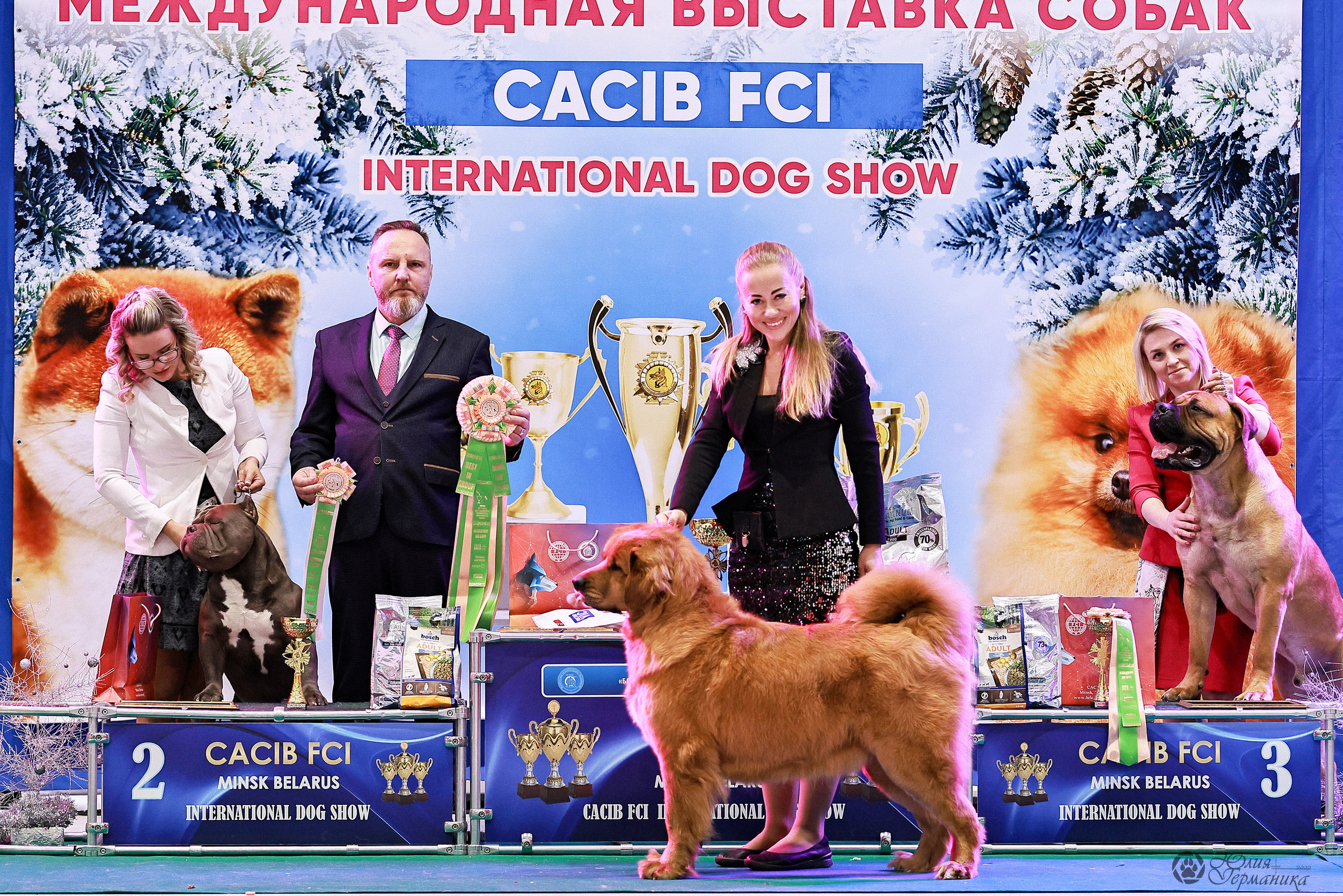 Минск 19-20.11.2022. Фотограф-анималист Юлия Германика