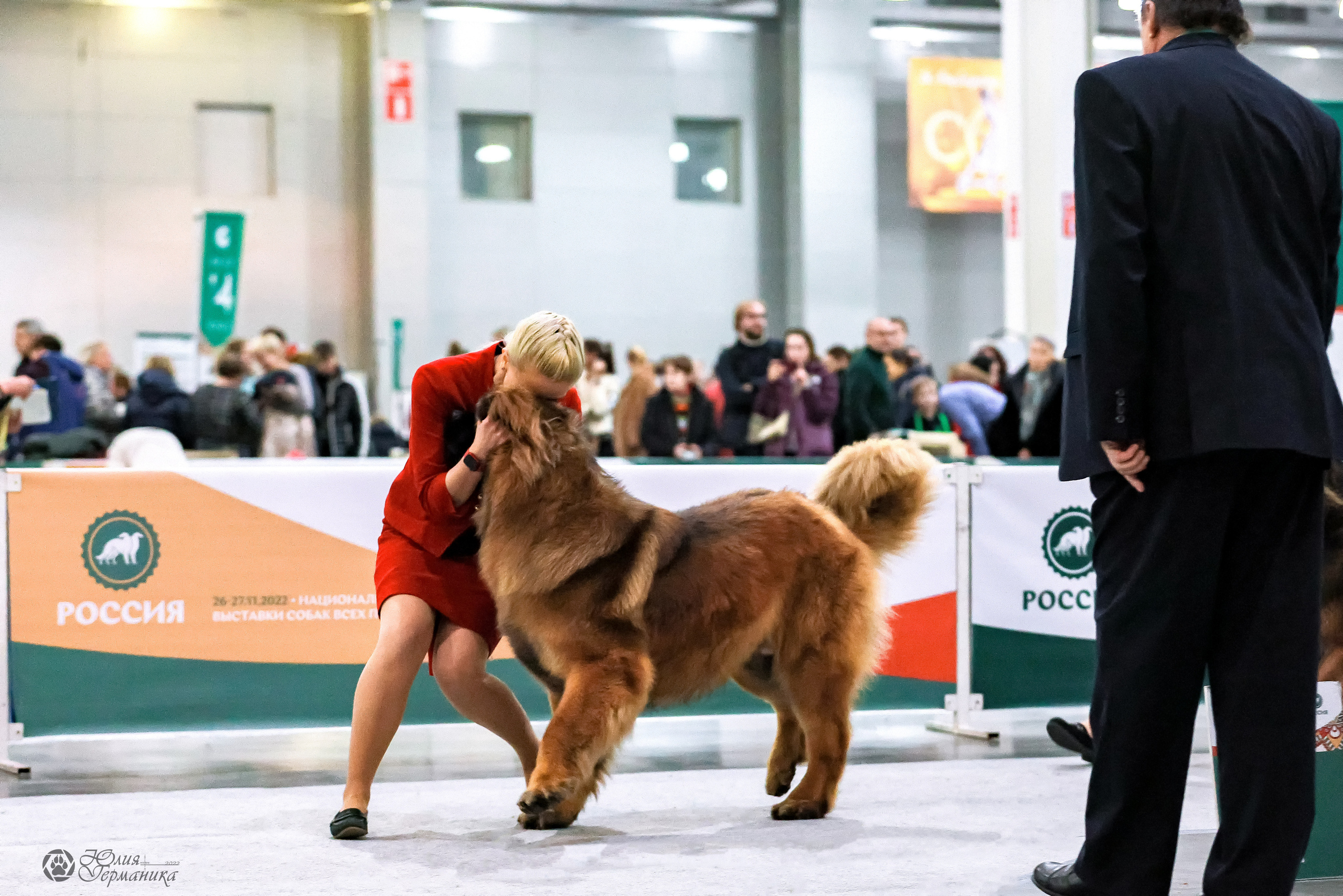 Россия 2020-2022 26-27.11.2022. Фотограф-анималист Юлия Германика