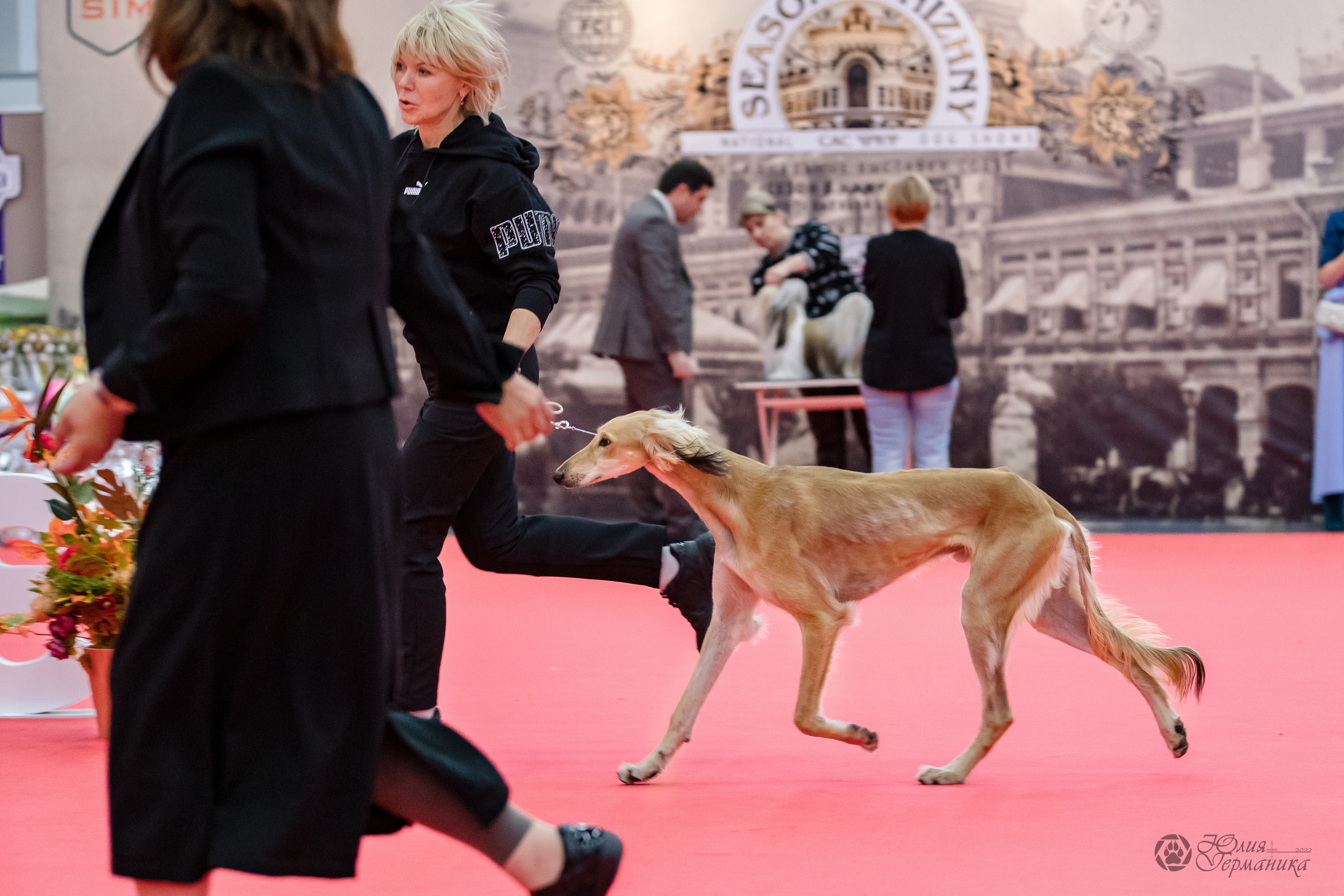 Нижний Новгород 15-16.10.2022. Фотограф-анималист Юлия Германика