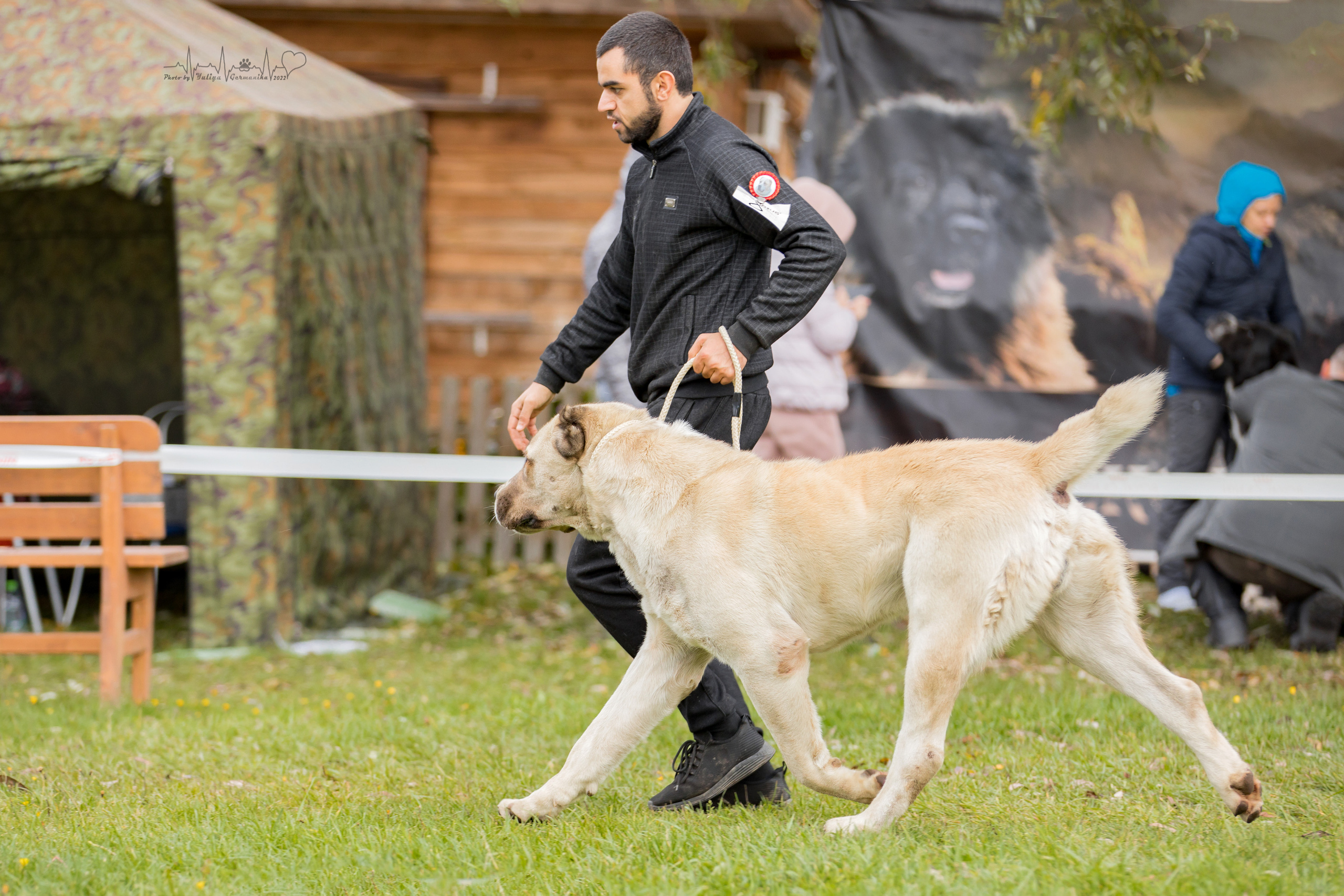 Александрова Слобода моно сао 2.10.2022. Фотограф-анималист Юлия Германика