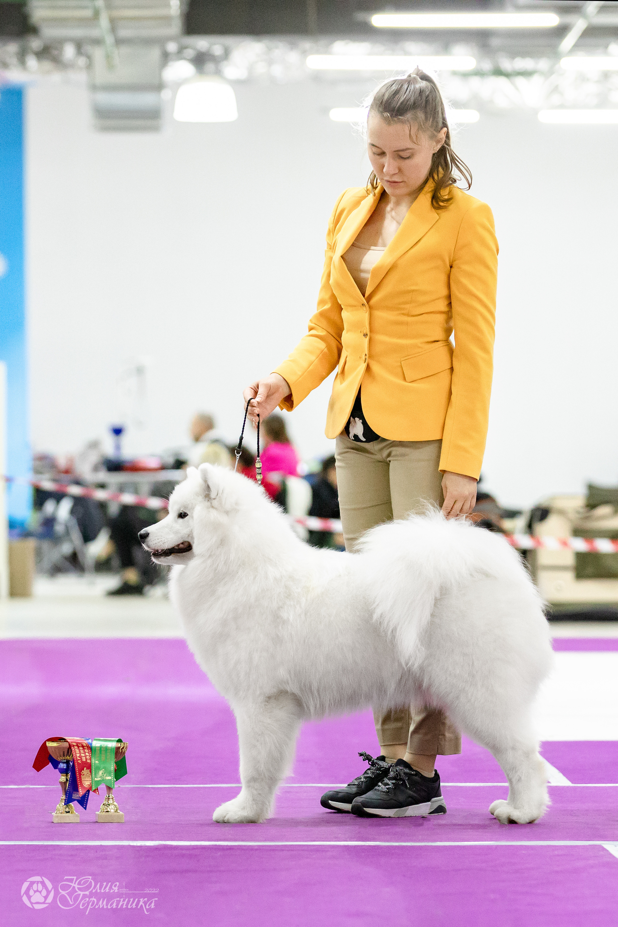 Чайна-Таун 29-30.10.2022. Фотограф-анималист Юлия Германика