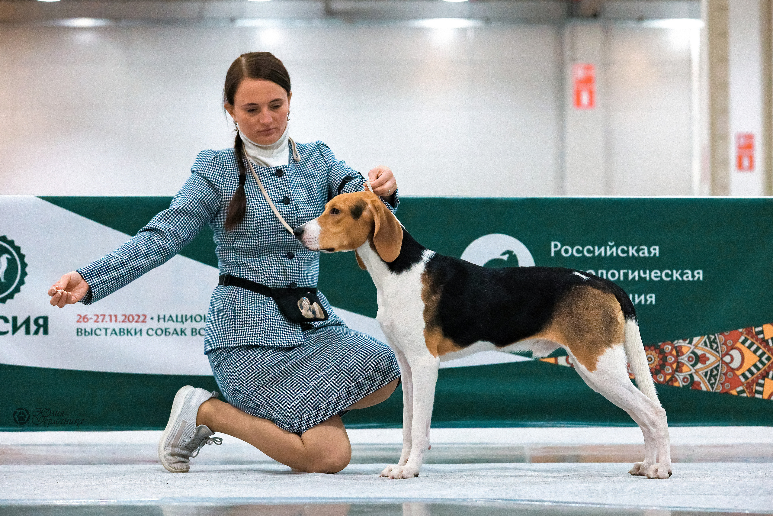 Россия 2020-2022 26-27.11.2022. Фотограф-анималист Юлия Германика