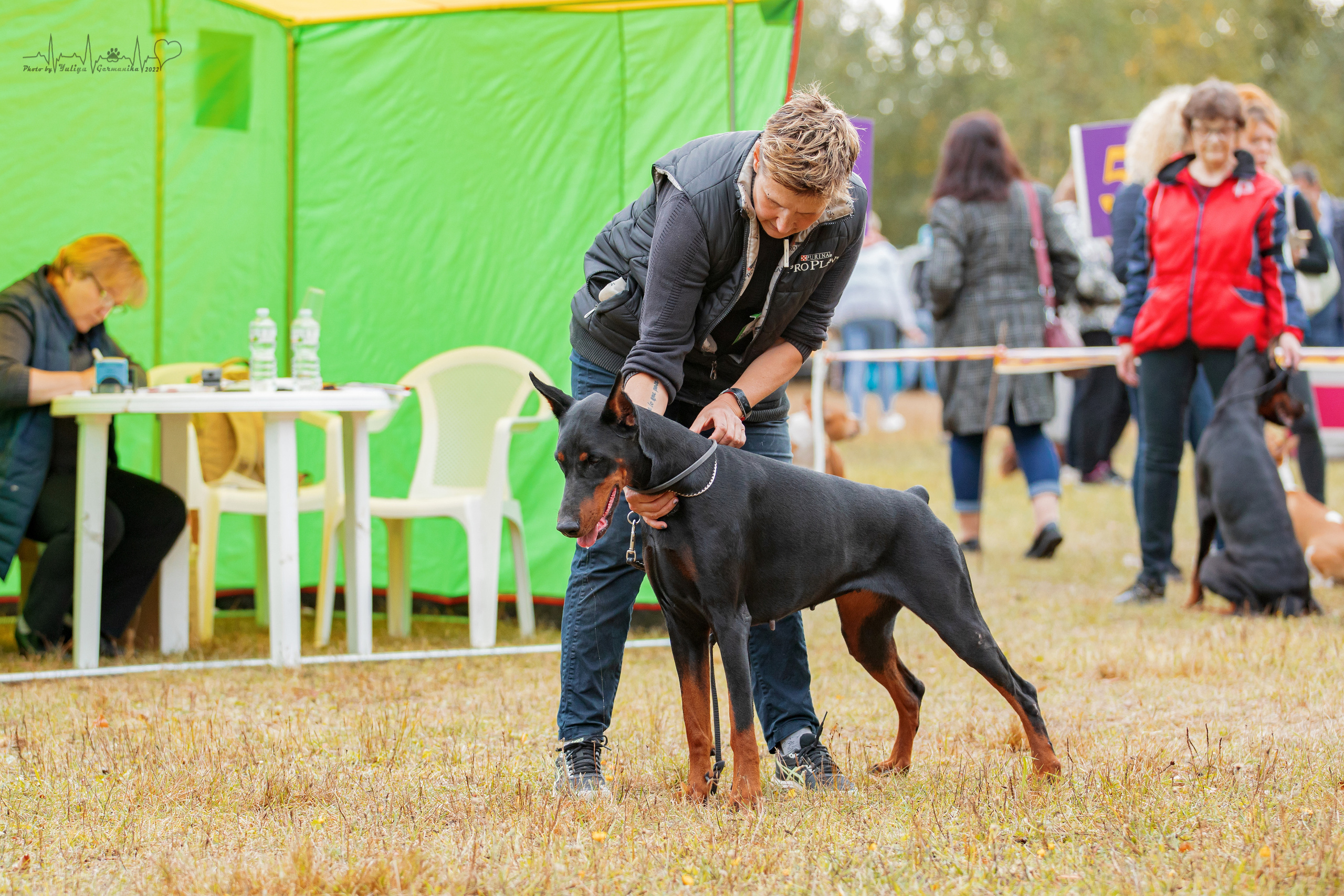 Пушкино ЧРКФ 17.09.2022. Фотограф-анималист Юлия Германика