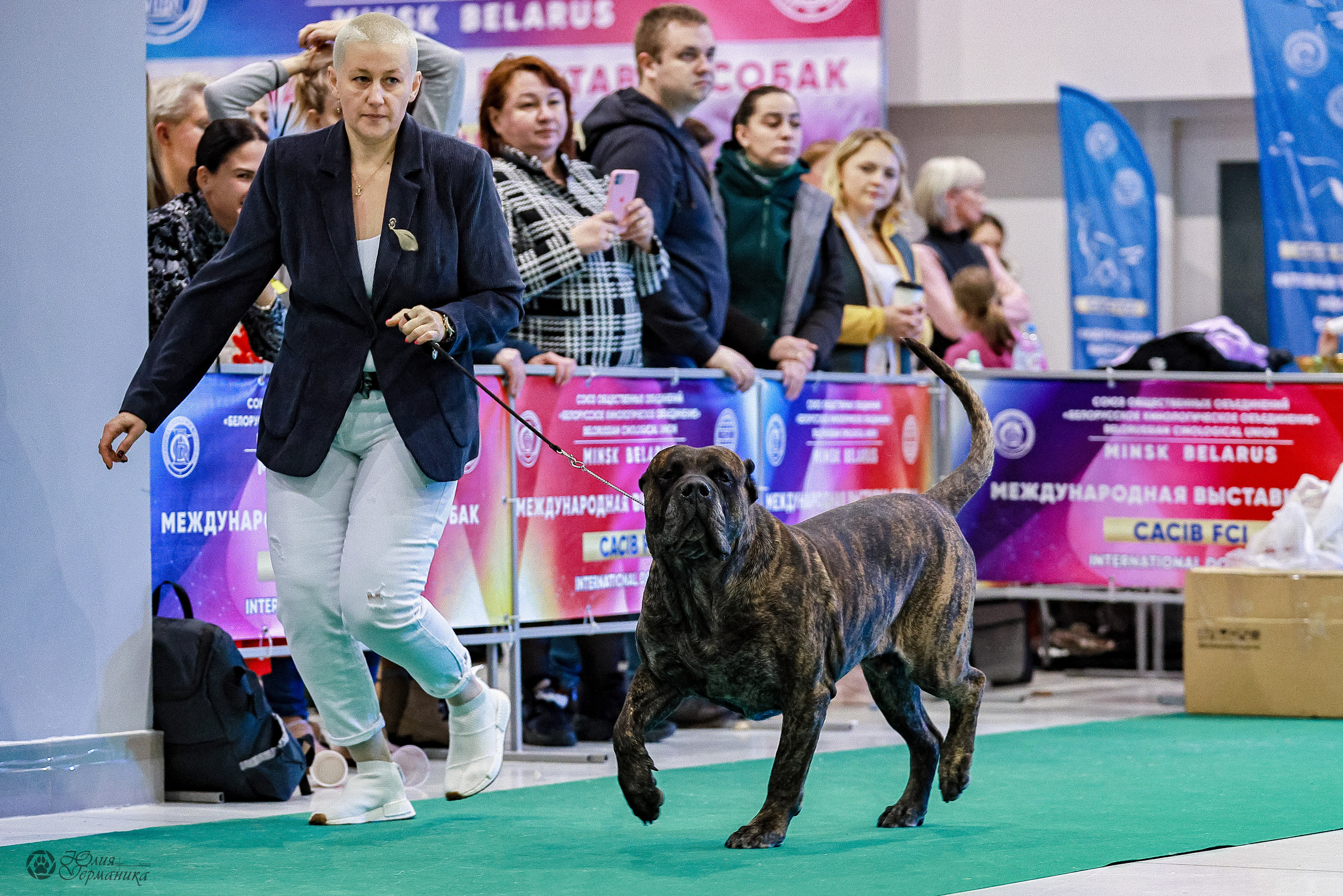 Минск 19-20.11.2022. Фотограф-анималист Юлия Германика