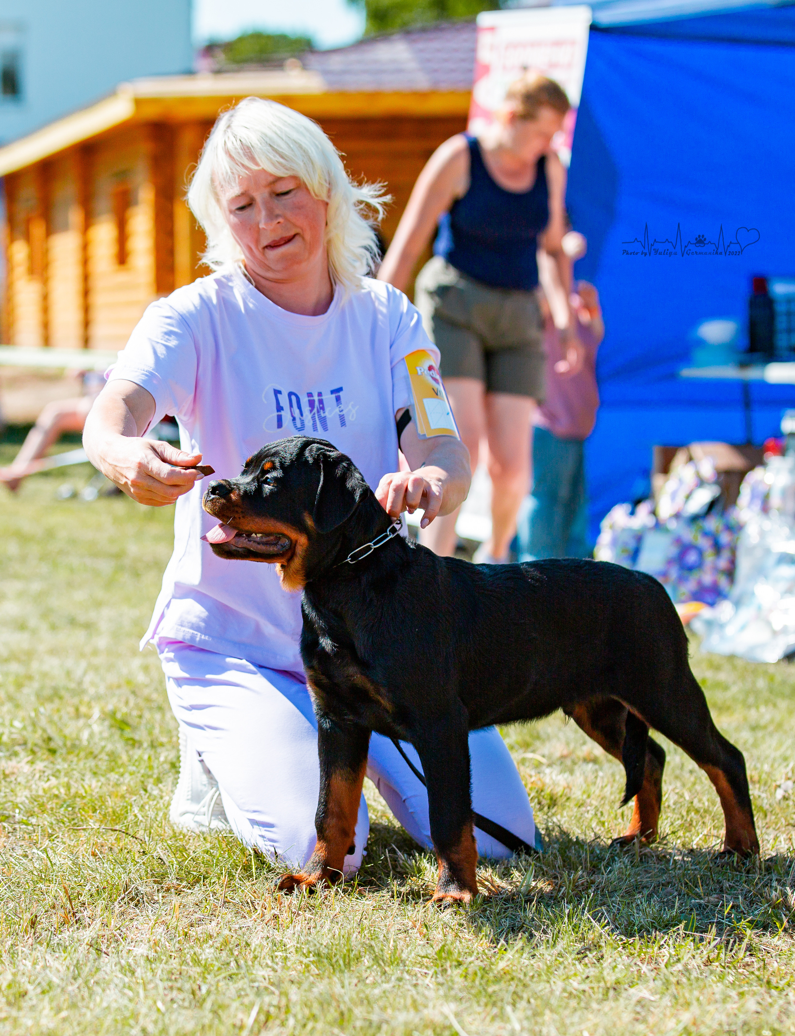 Рязань моно ротвейлеров 13.08.2022. Фотограф-анималист Юлия Германика