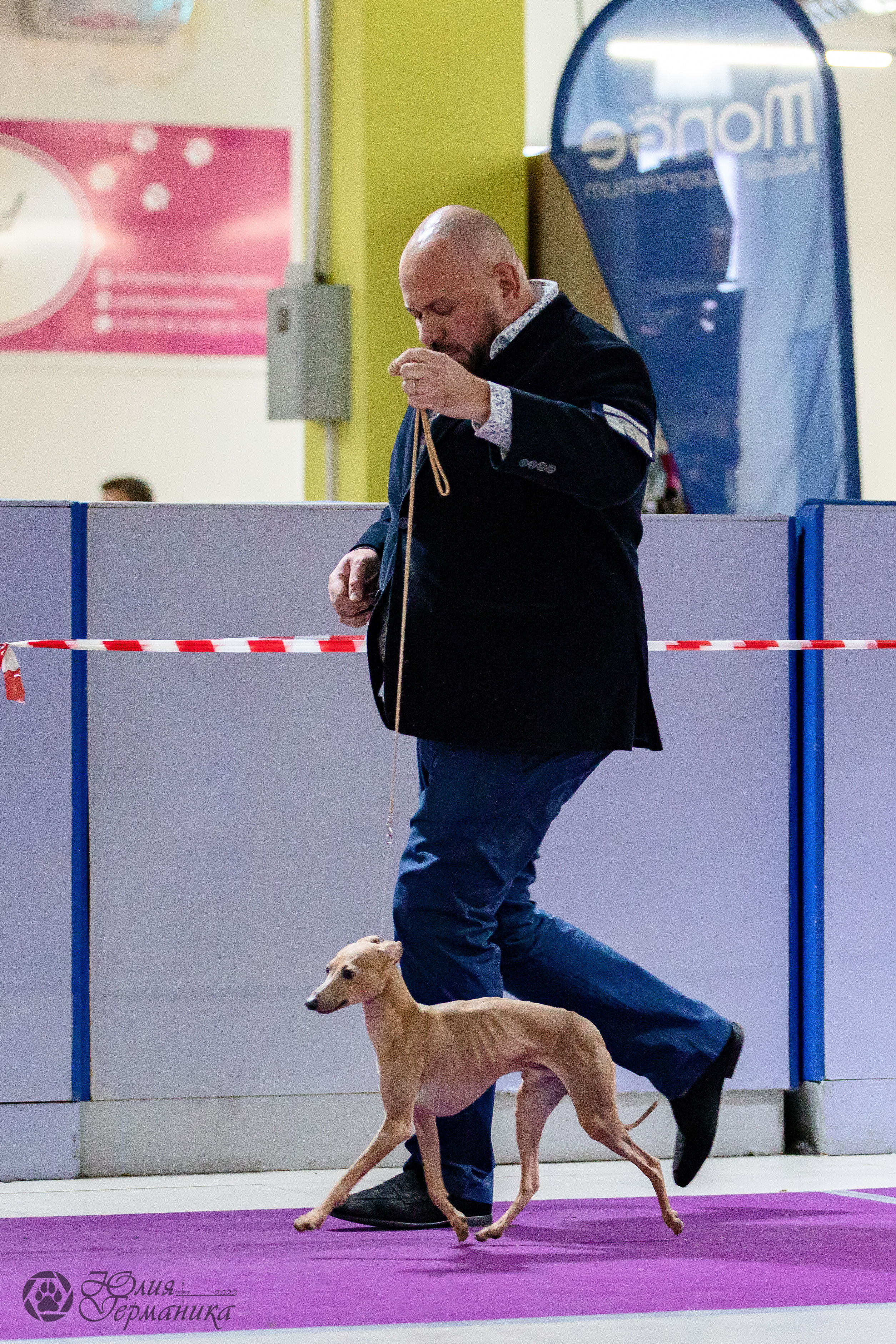 Чайна-Таун 29-30.10.2022. Фотограф-анималист Юлия Германика