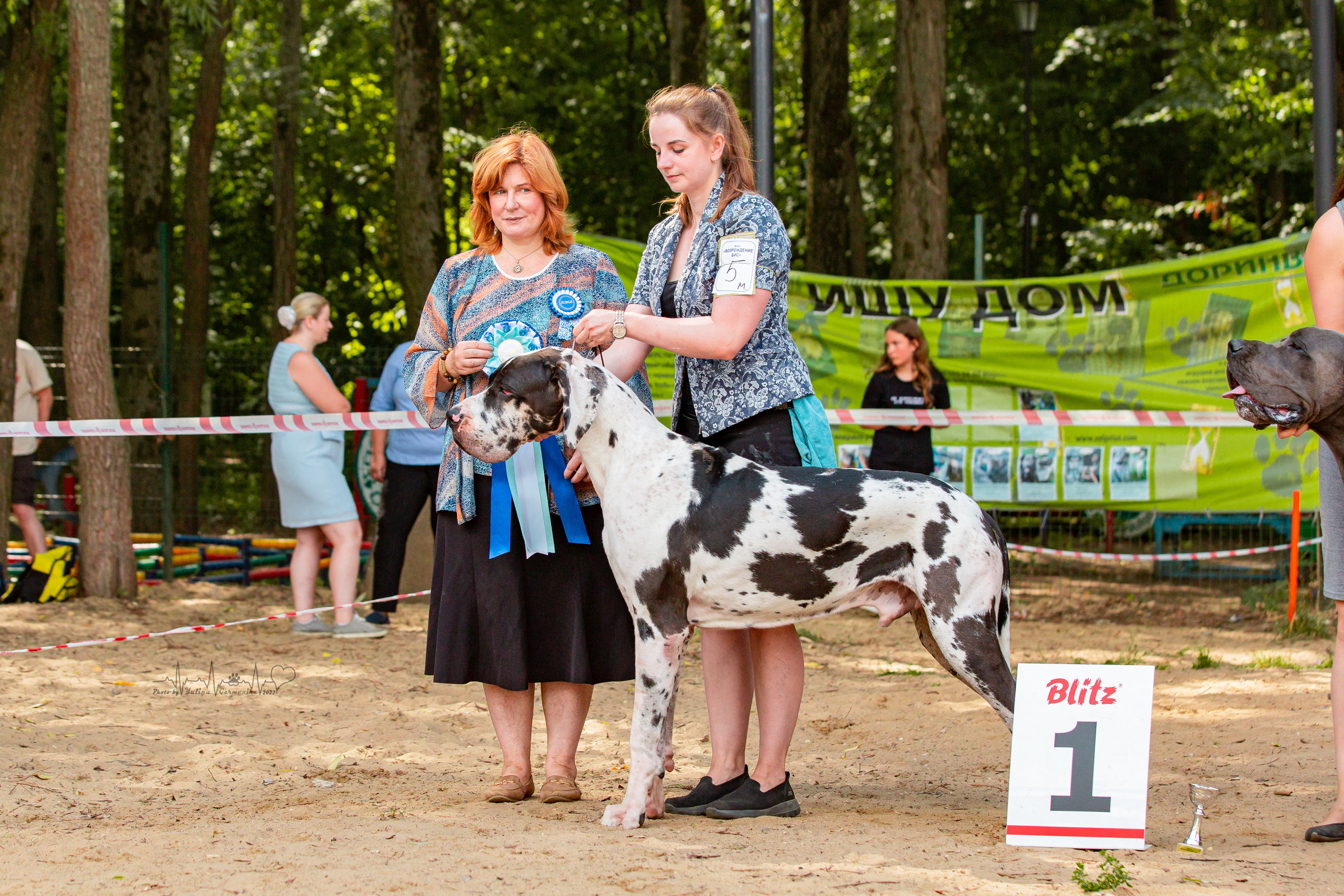 Ховрино фестиваль монопородок 14.08.2022. Фотограф-анималист Юлия Германика