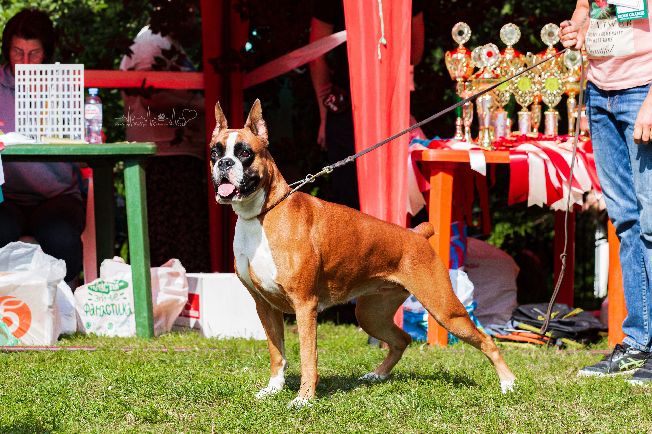 Сокольники 21.08,Сергиев Посад 27-28.08 2022. Фотограф-анималист Юлия Германика
