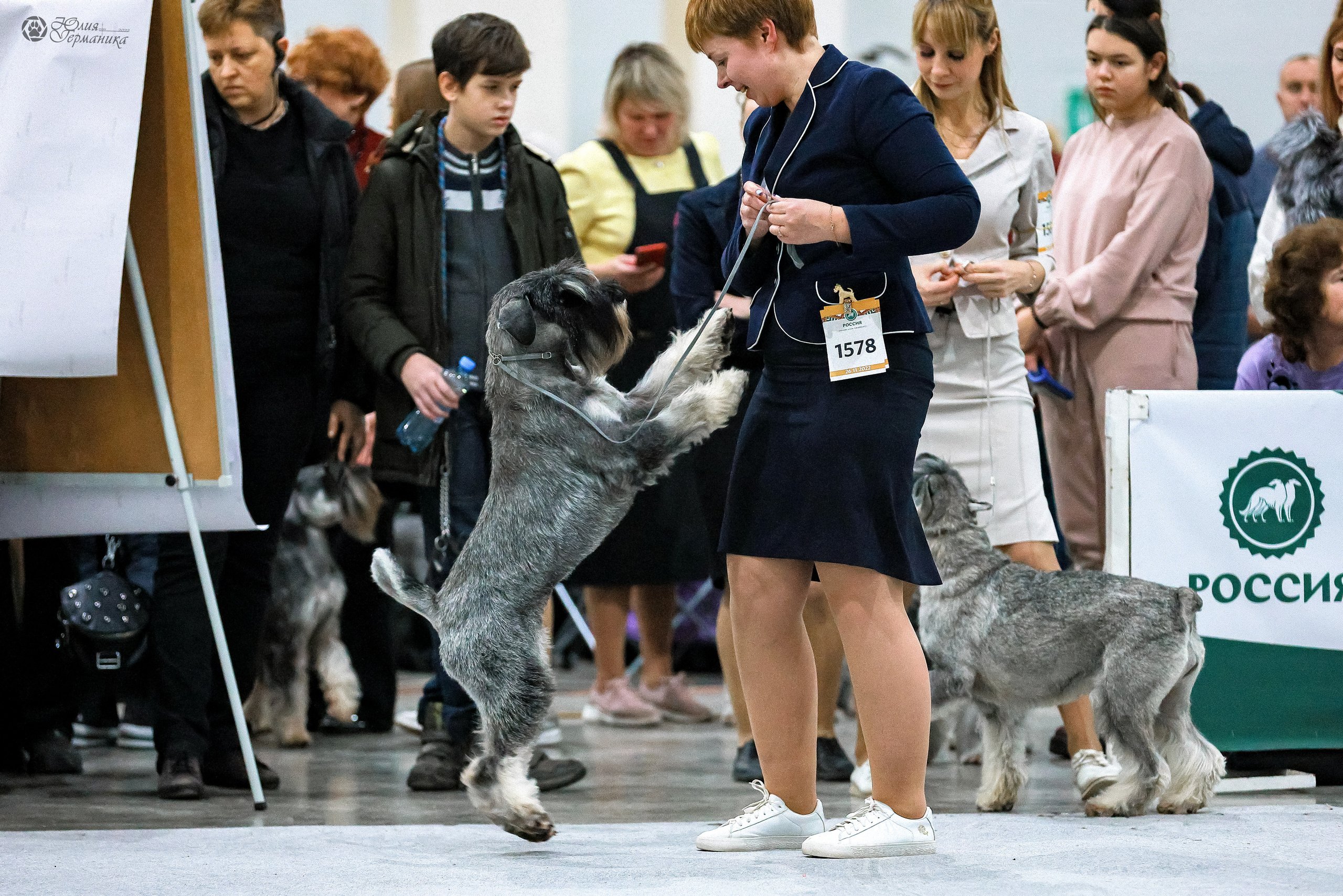 Россия 2020-2022 26-27.11.2022. Фотограф-анималист Юлия Германика