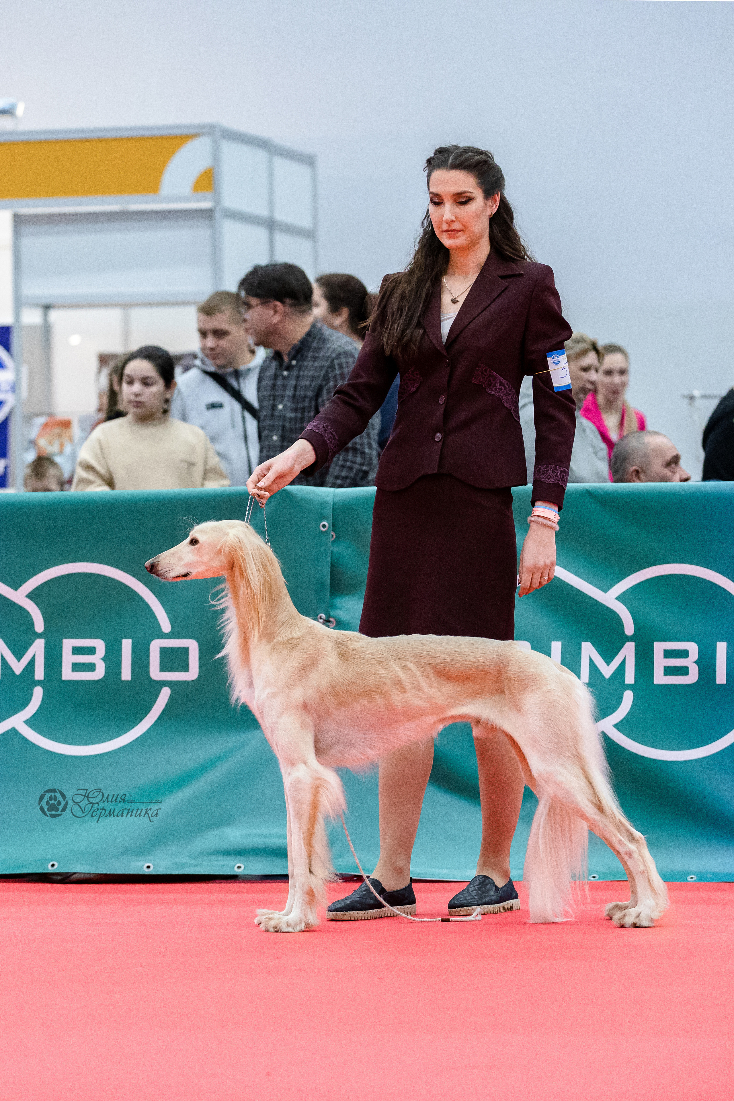 Нижний Новгород 15-16.10.2022. Фотограф-анималист Юлия Германика