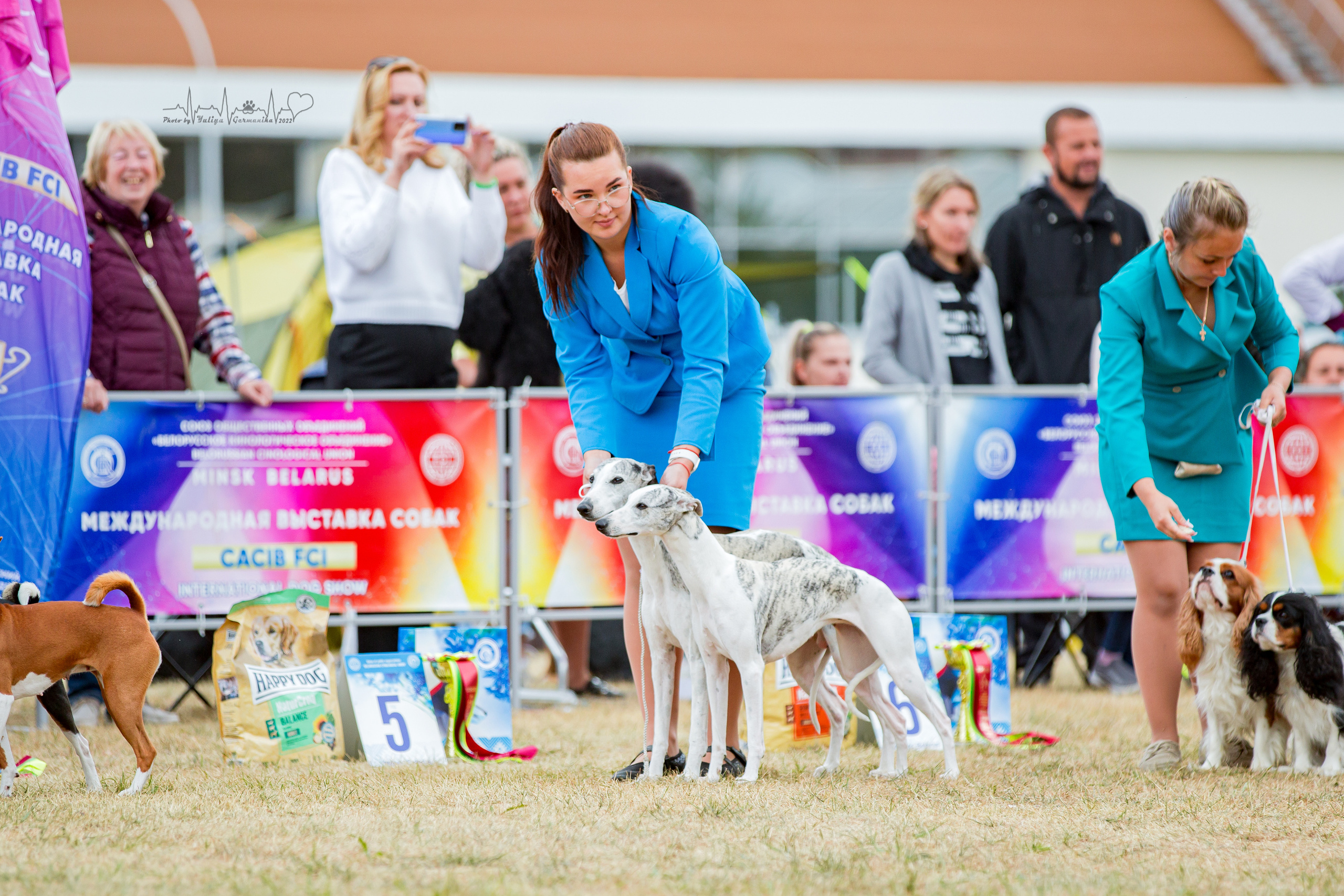 Минск 2хCACIB 3-4.09.2022. Фотограф-анималист Юлия Германика