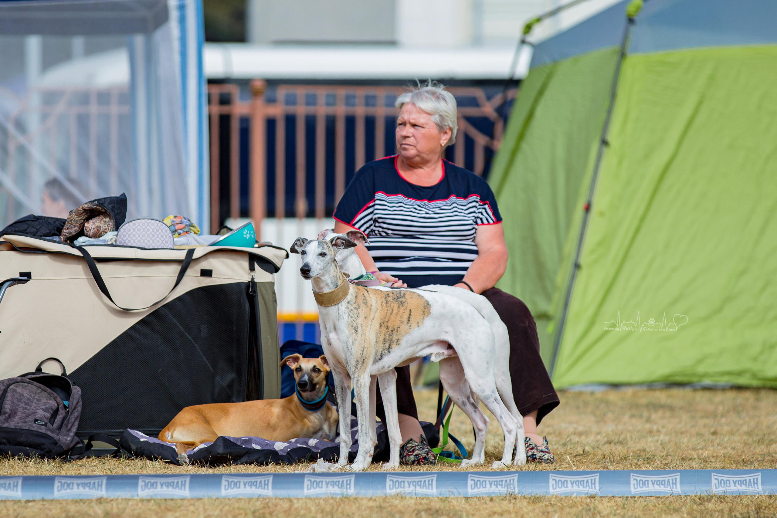 Минск 2хCACIB 3-4.09.2022. Фотограф-анималист Юлия Германика