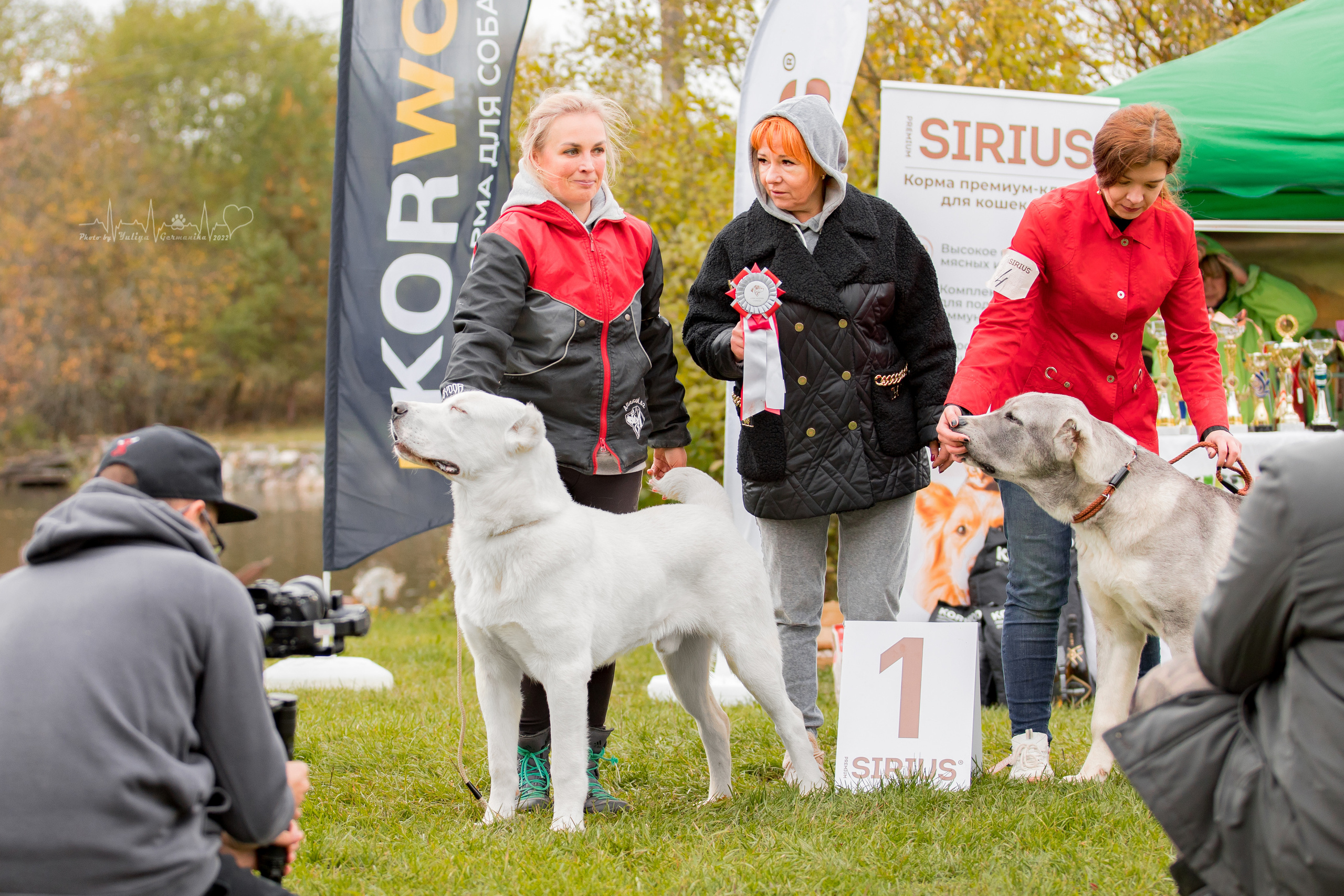 Александрова Слобода моно сао 2.10.2022. Фотограф-анималист Юлия Германика