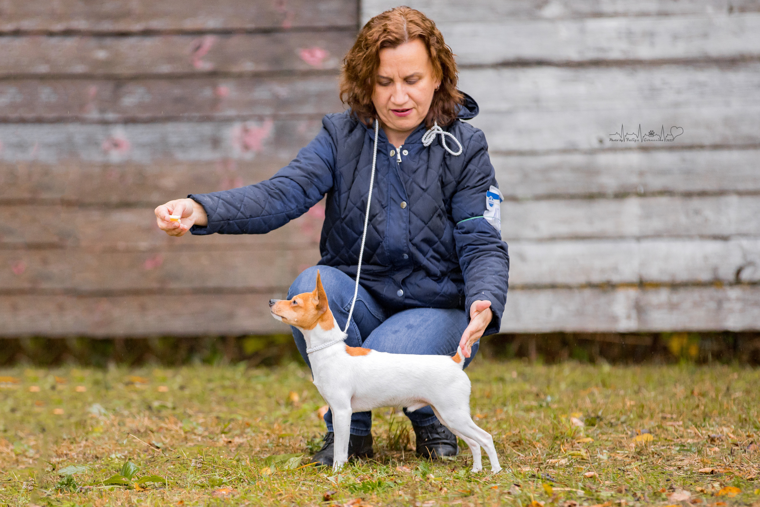 Александров 24.09.2022. Фотограф-анималист Юлия Германика