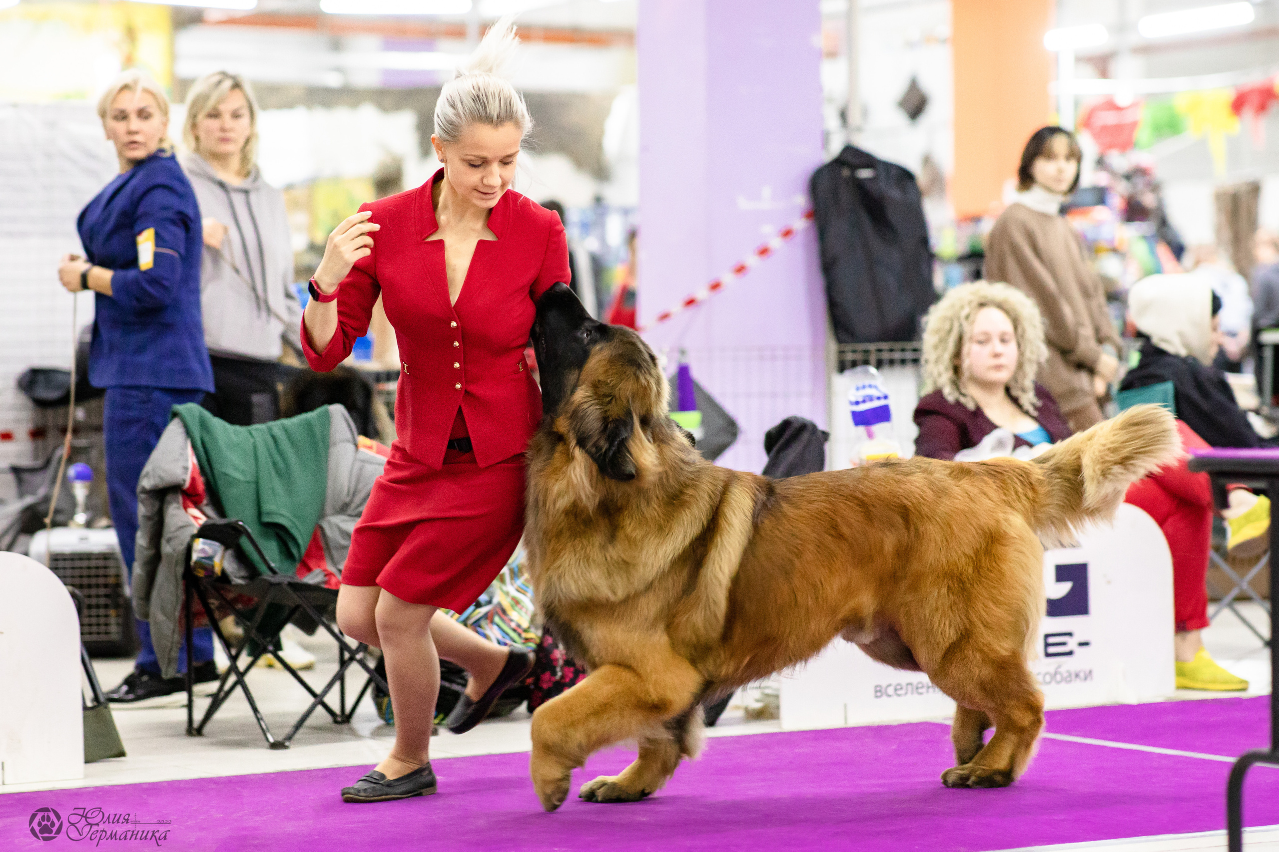Чайна-Таун 29-30.10.2022. Фотограф-анималист Юлия Германика
