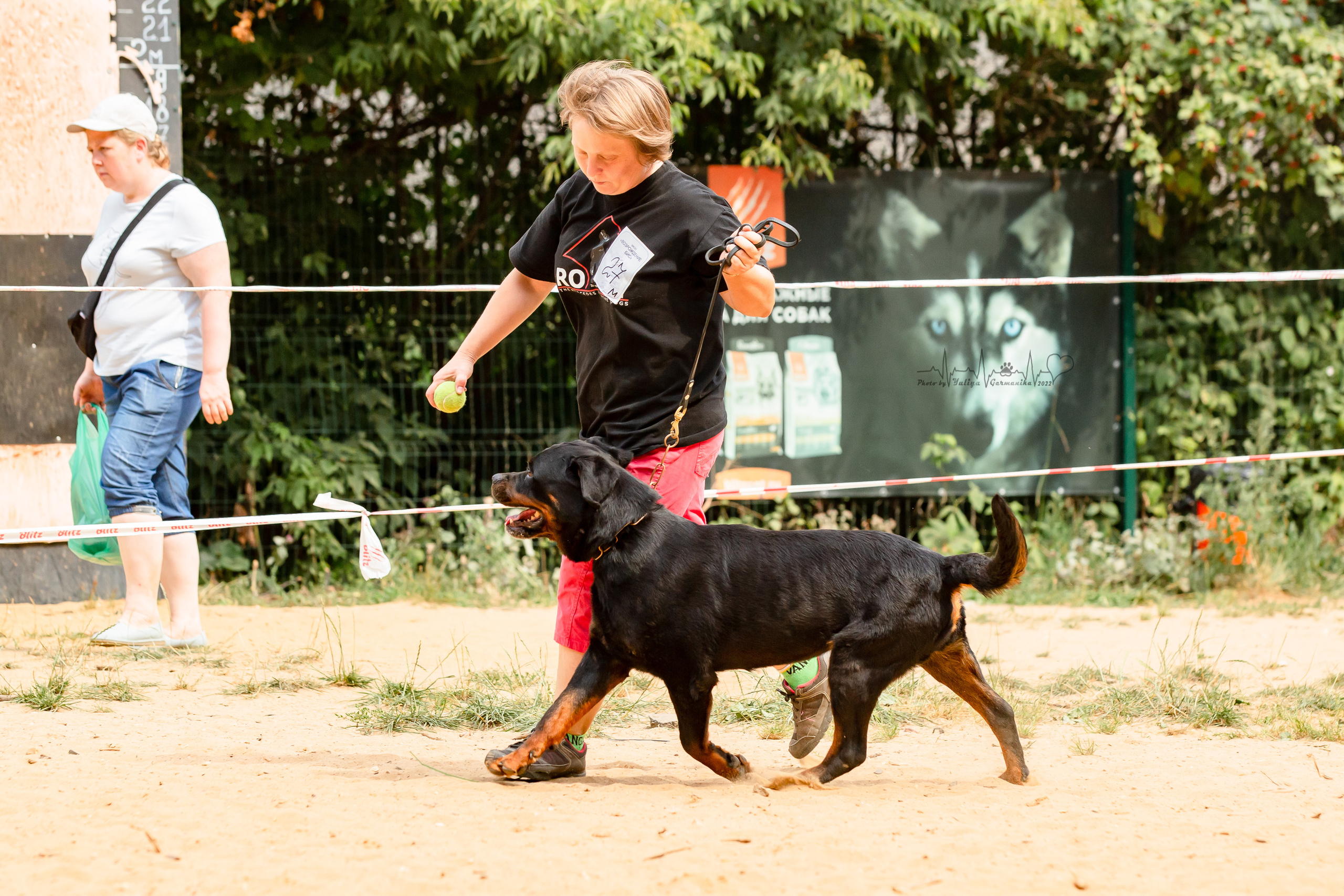 Ховрино фестиваль монопородок 14.08.2022. Фотограф-анималист Юлия Германика