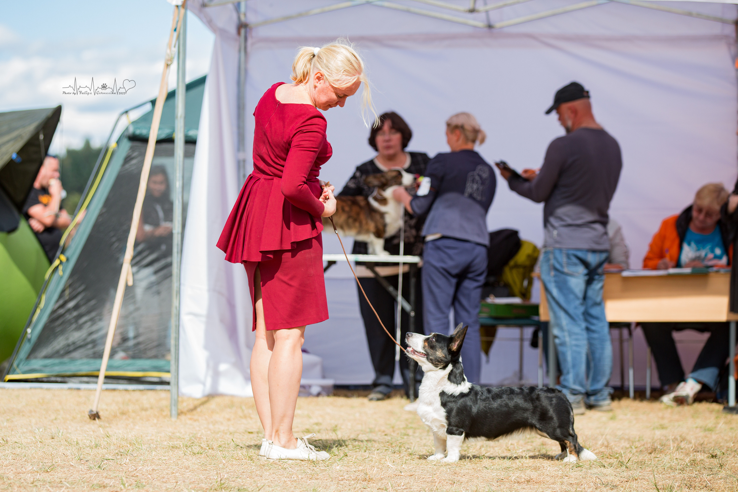 Минск 2хCACIB 3-4.09.2022. Фотограф-анималист Юлия Германика