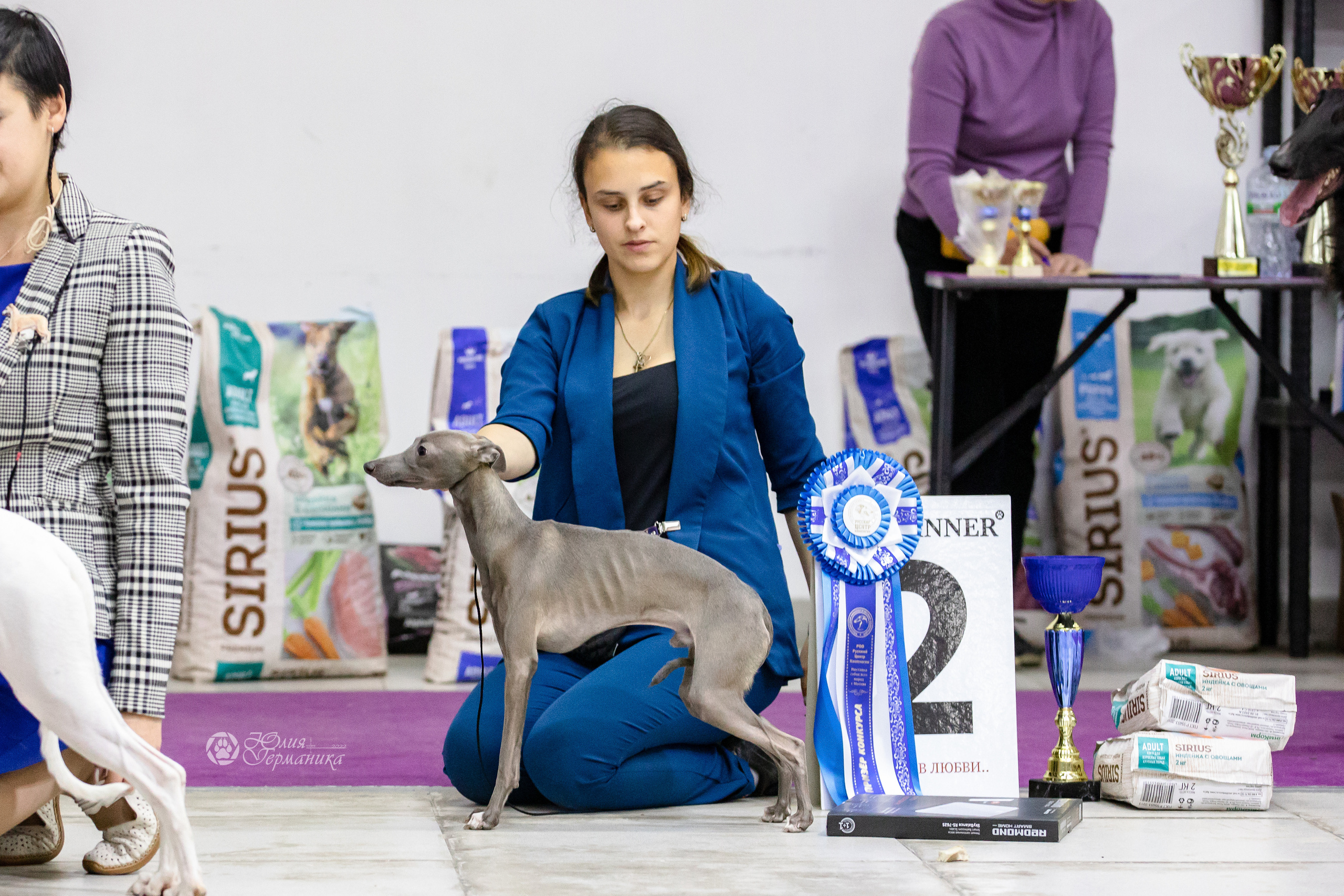 Чайна-Таун 29-30.10.2022. Фотограф-анималист Юлия Германика