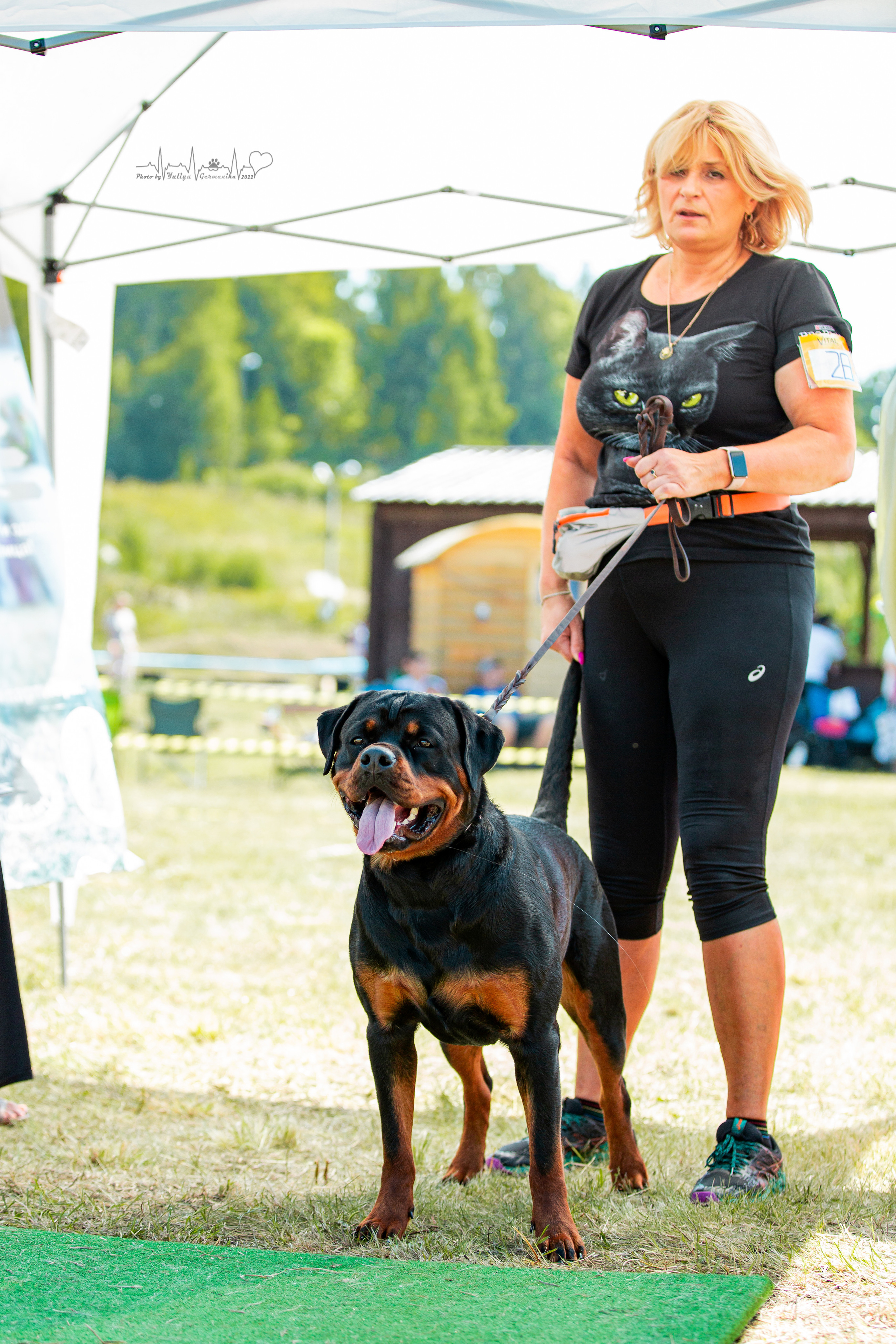 Рязань моно ротвейлеров 13.08.2022. Фотограф-анималист Юлия Германика