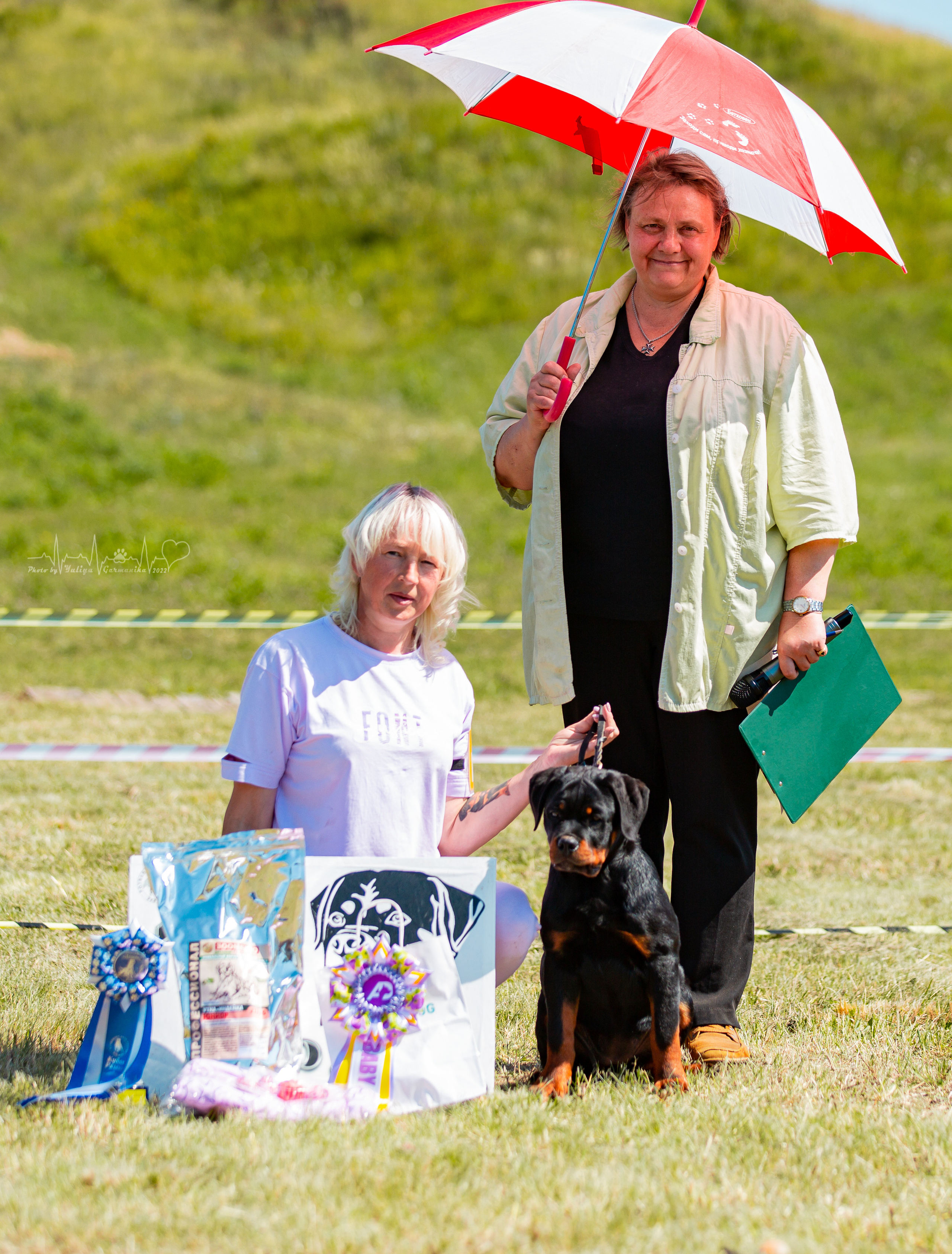 Рязань моно ротвейлеров 13.08.2022. Фотограф-анималист Юлия Германика