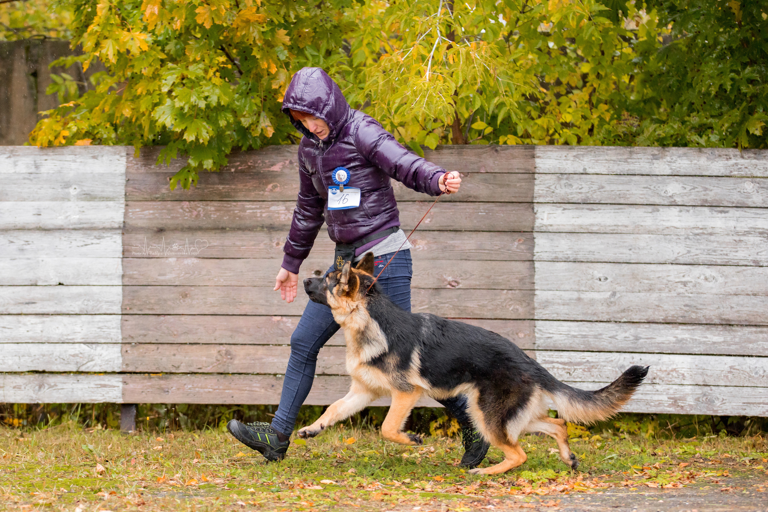 Александров 24.09.2022. Фотограф-анималист Юлия Германика