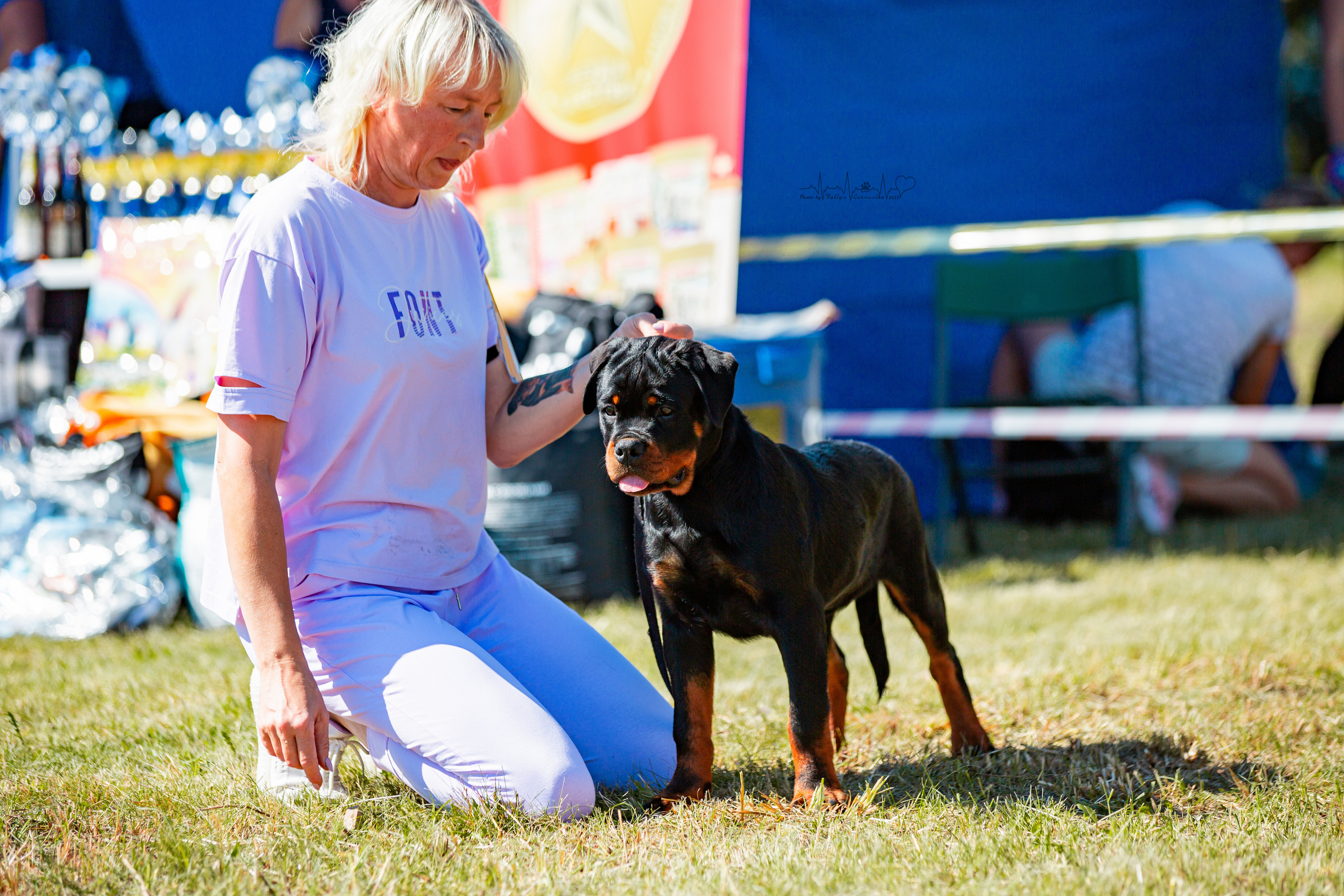Рязань моно ротвейлеров 13.08.2022. Фотограф-анималист Юлия Германика