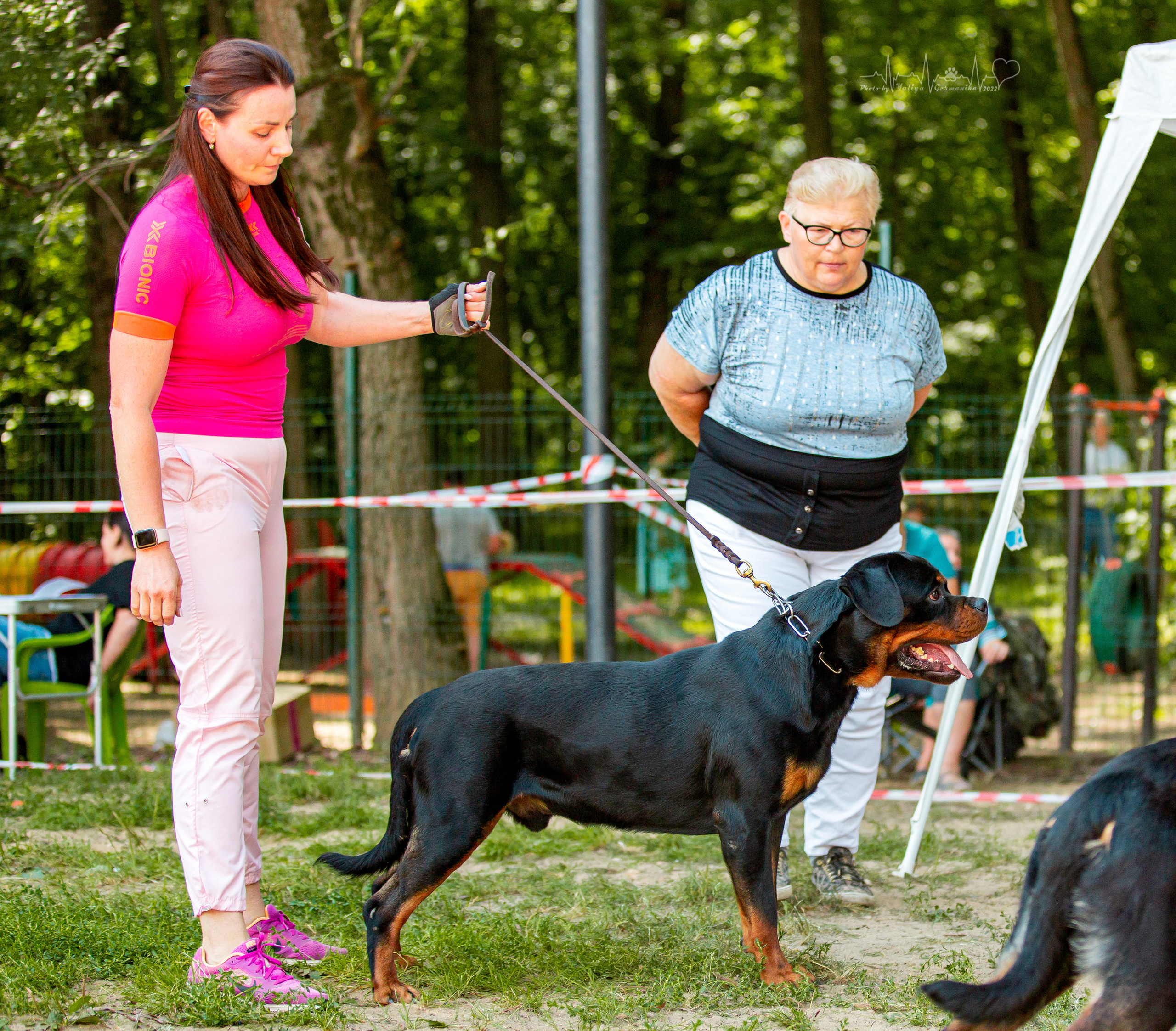 Ховрино фестиваль монопородок 14.08.2022. Фотограф-анималист Юлия Германика