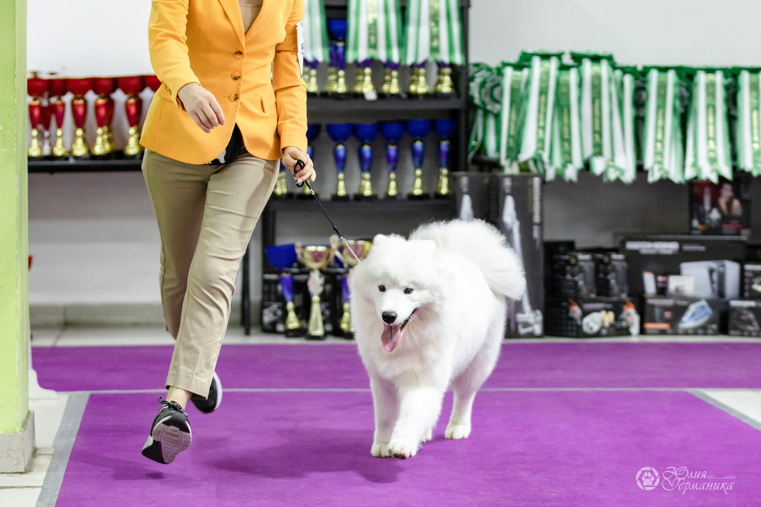 Чайна-Таун 29-30.10.2022. Фотограф-анималист Юлия Германика