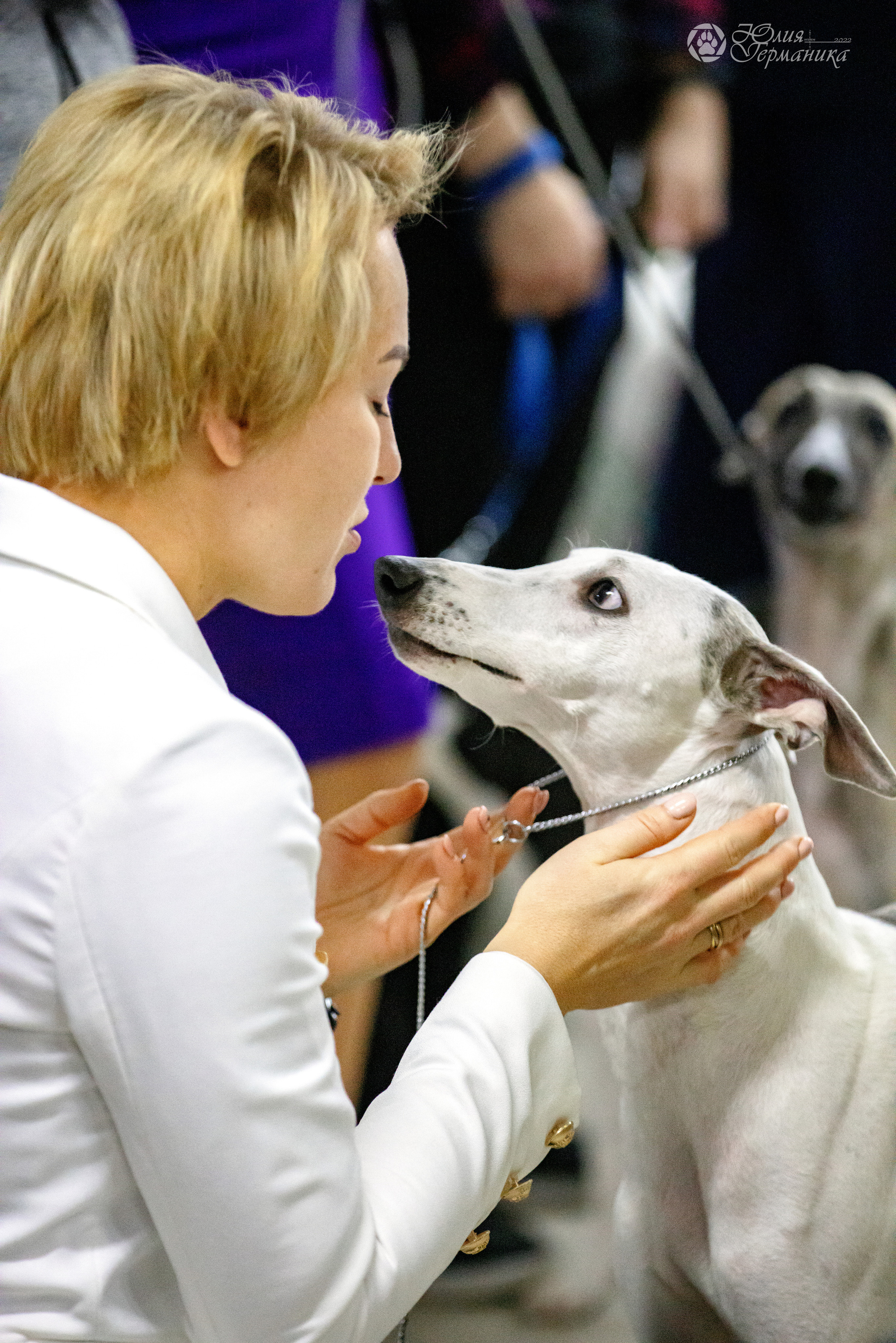 Чайна-Таун 3 и 12.11.2022. Фотограф-анималист Юлия Германика
