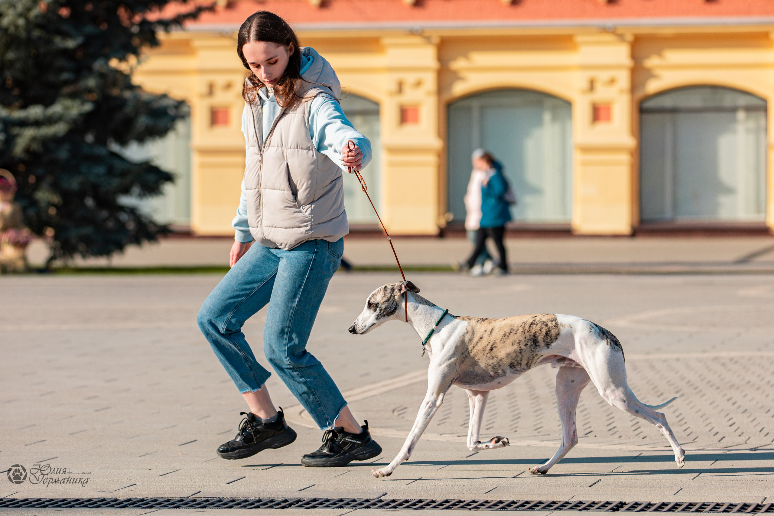 Нижний Новгород 15-16.10.2022. Фотограф-анималист Юлия Германика